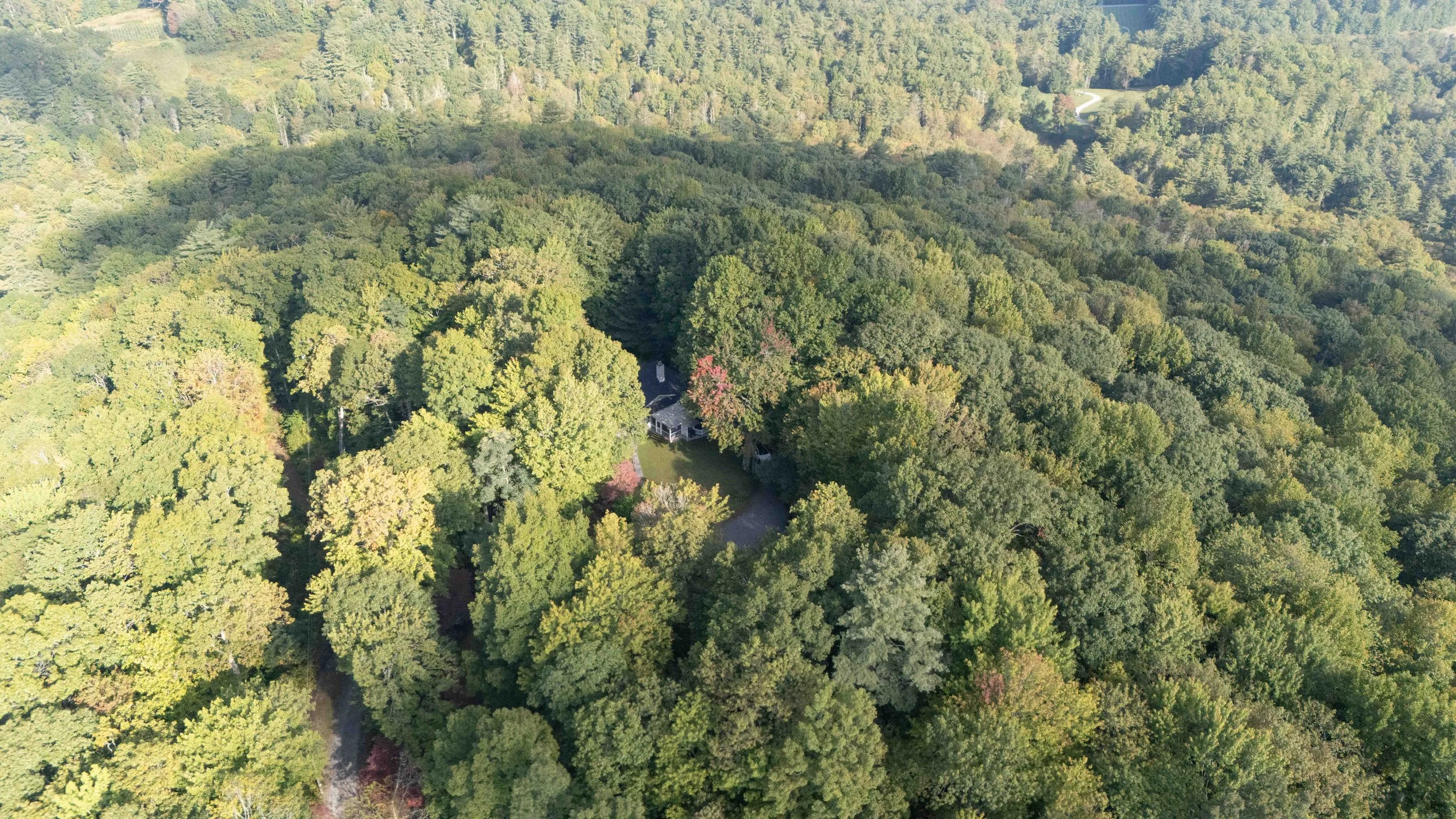 Aerial view of a dense forest surrounding a house with a driveway, taken during daytime.