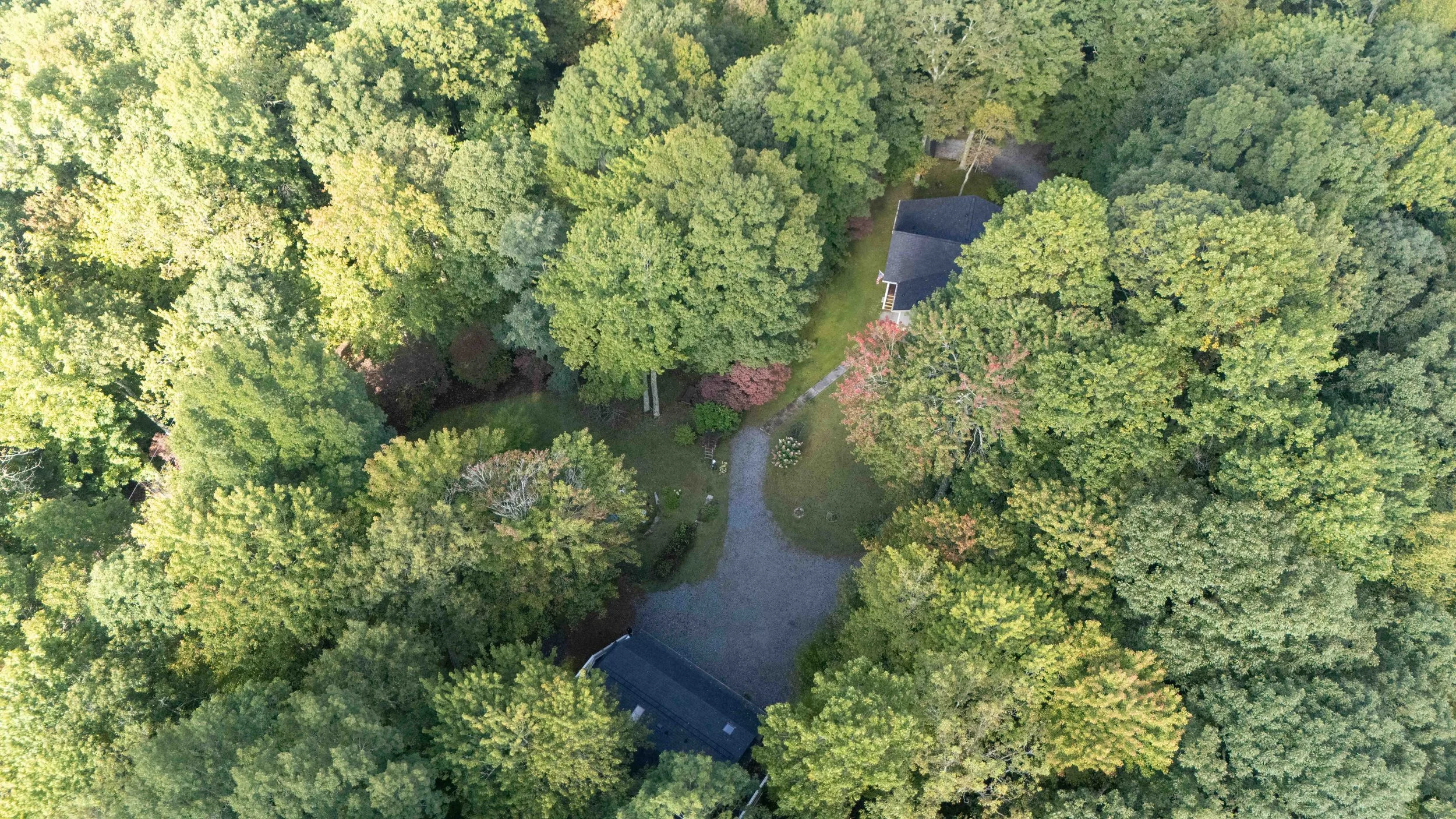 An aerial view of a house surrounded by dense trees with a gravel driveway leading to the house.