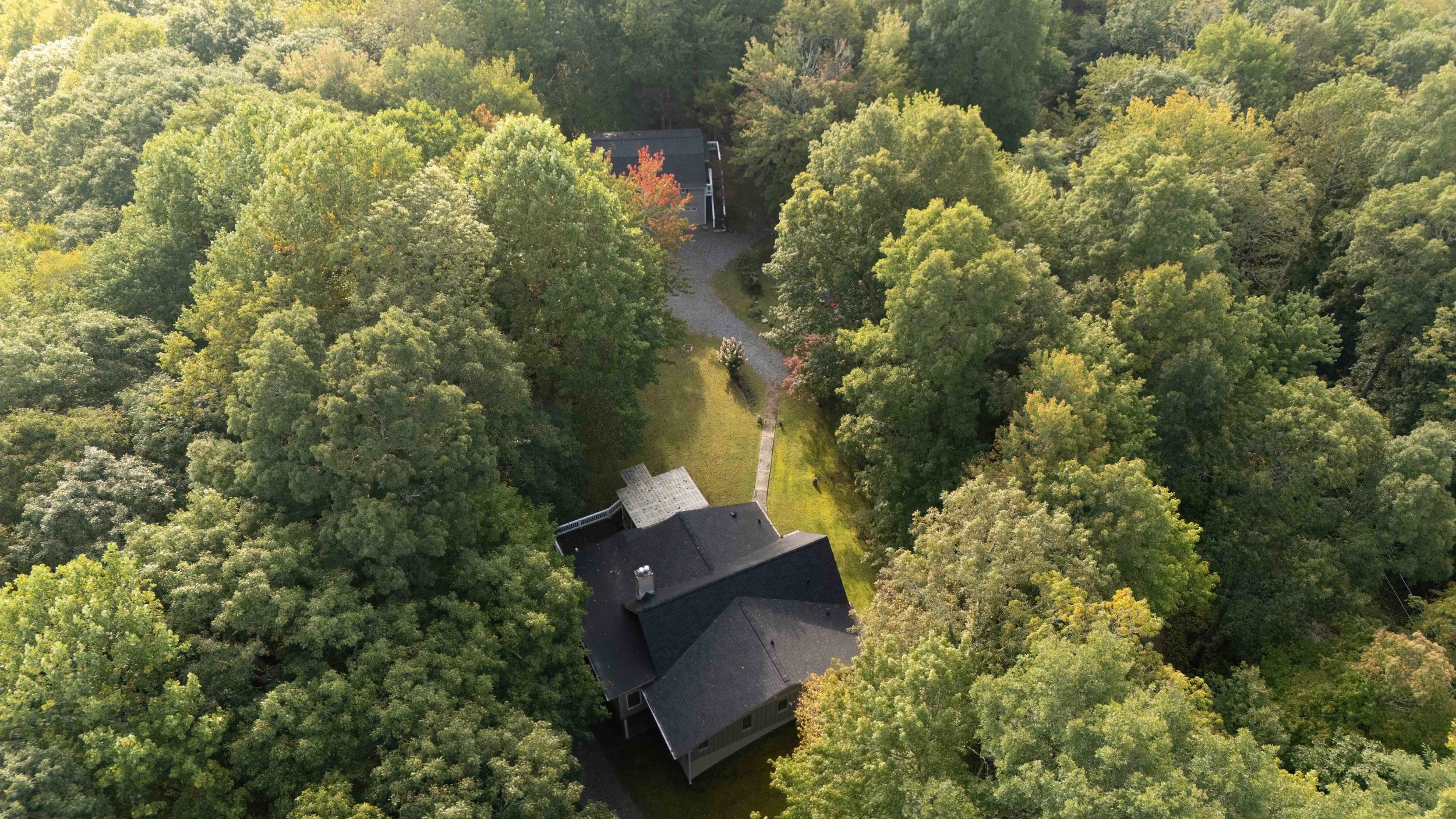 Aerial view of a house surrounded by a dense forest with green trees, a clearing with a small lawn, a deck, and a driveway leading up to the house.