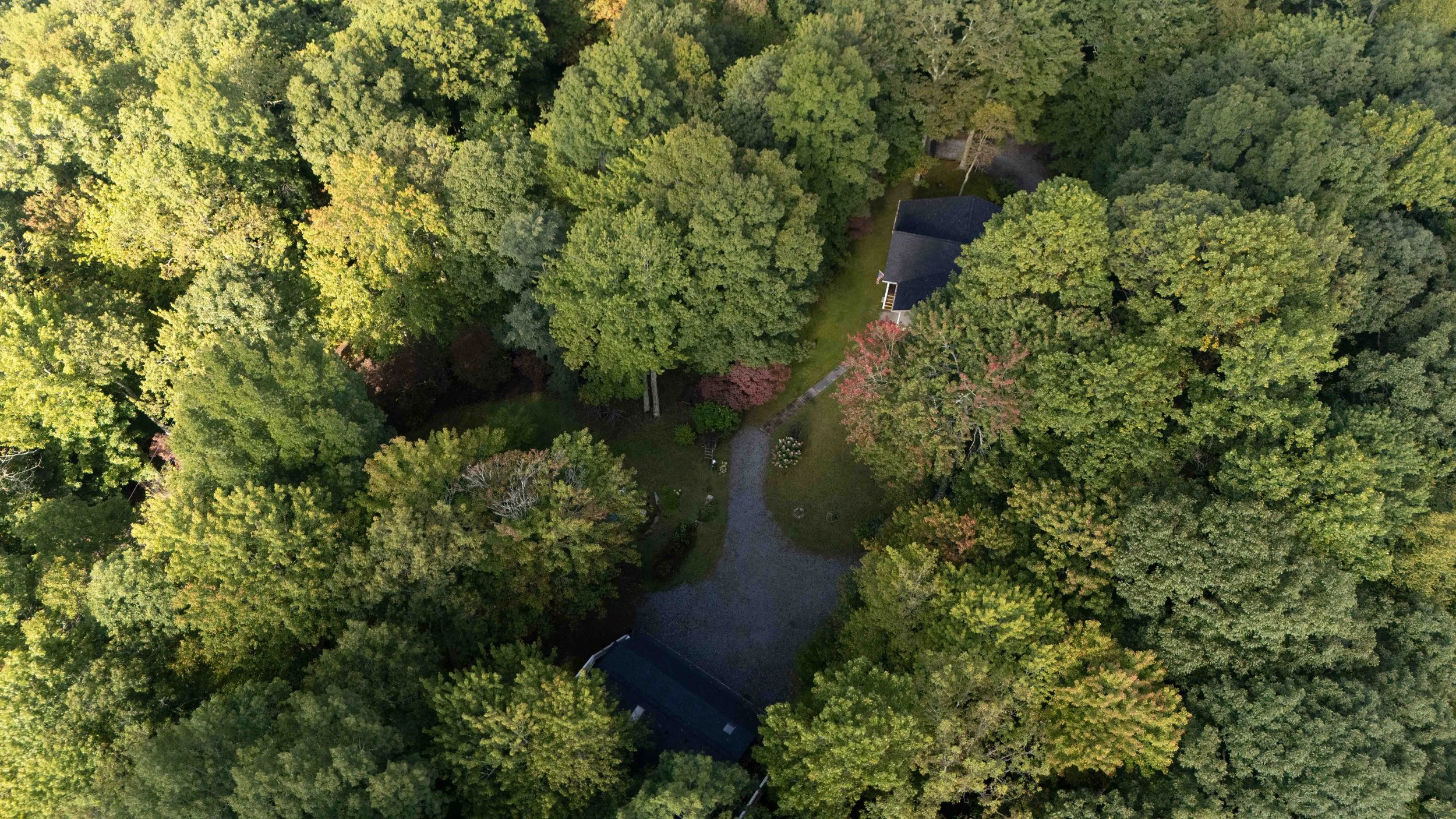 Aerial view of a wooded area with a house partially visible among trees, a gravel driveway, and a small shed or outbuilding.