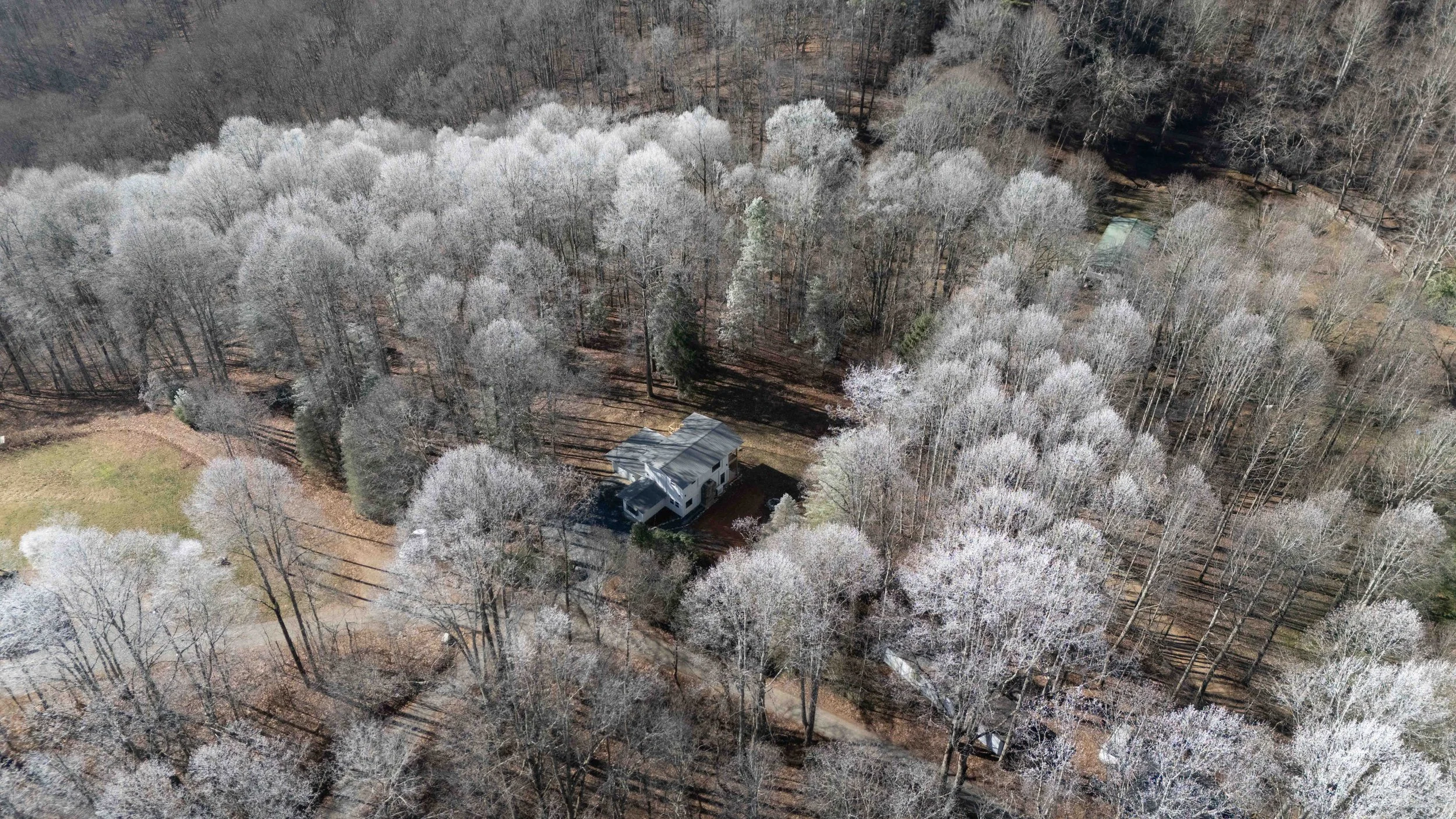 Aerial view of a house surrounded by a forest with leafless trees, some with white blossoms, during winter or early spring.