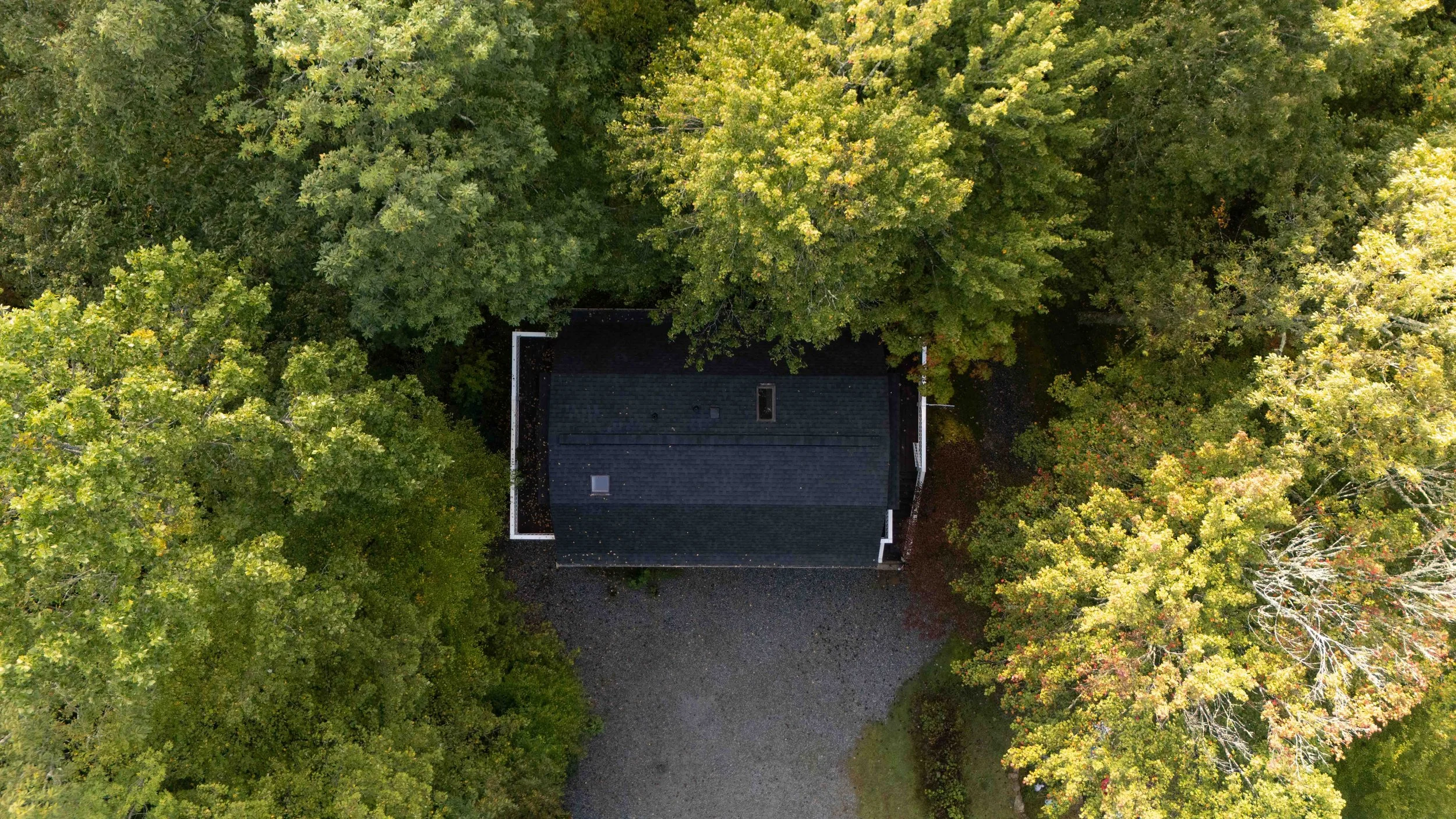 An aerial view of a house surrounded by trees with green and yellow leaves, and a gravel driveway leading to the house.