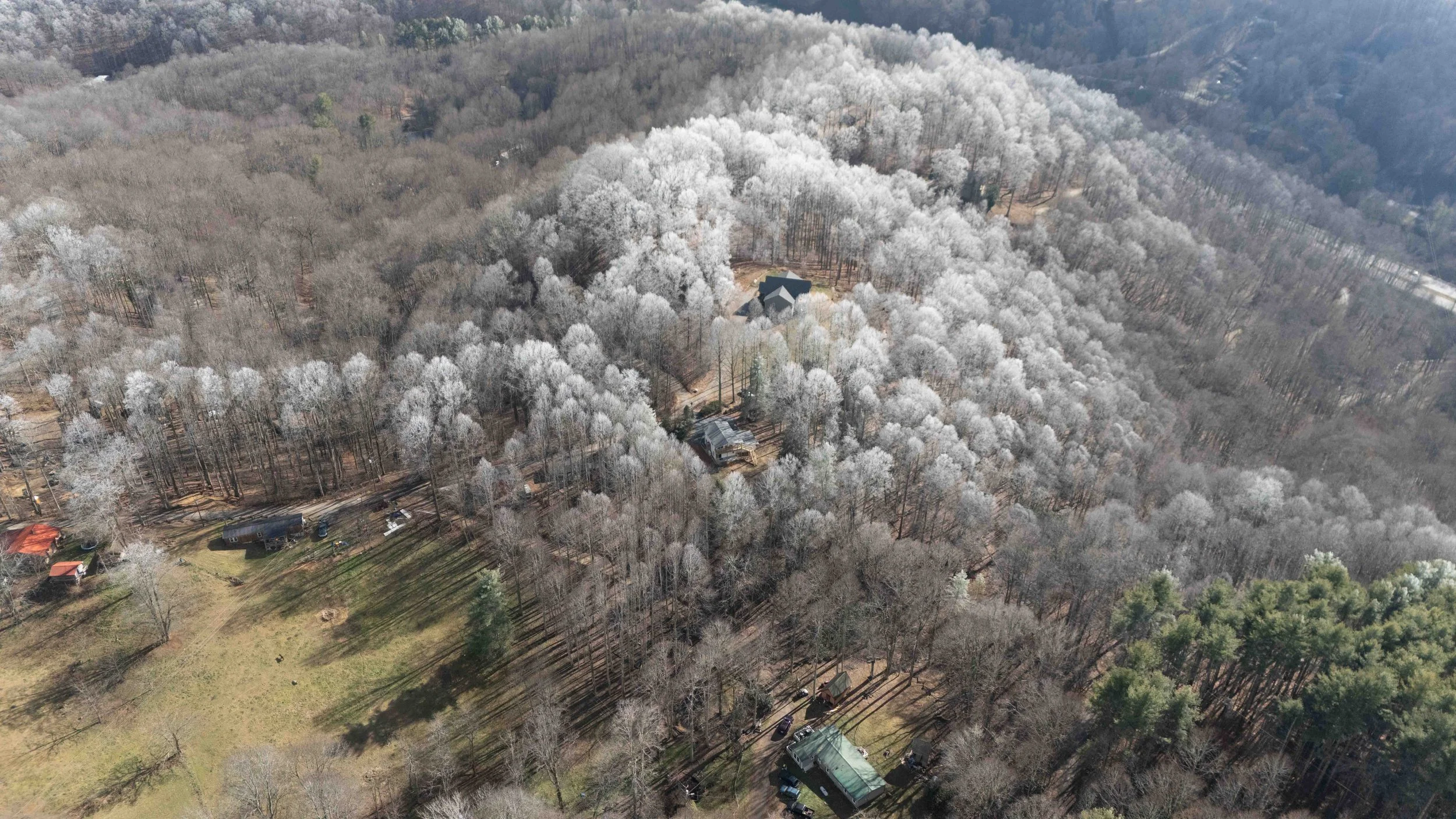 Aerial view of a forested area with trees covered in snow, scattered houses, and a dirt road winding through the woods.