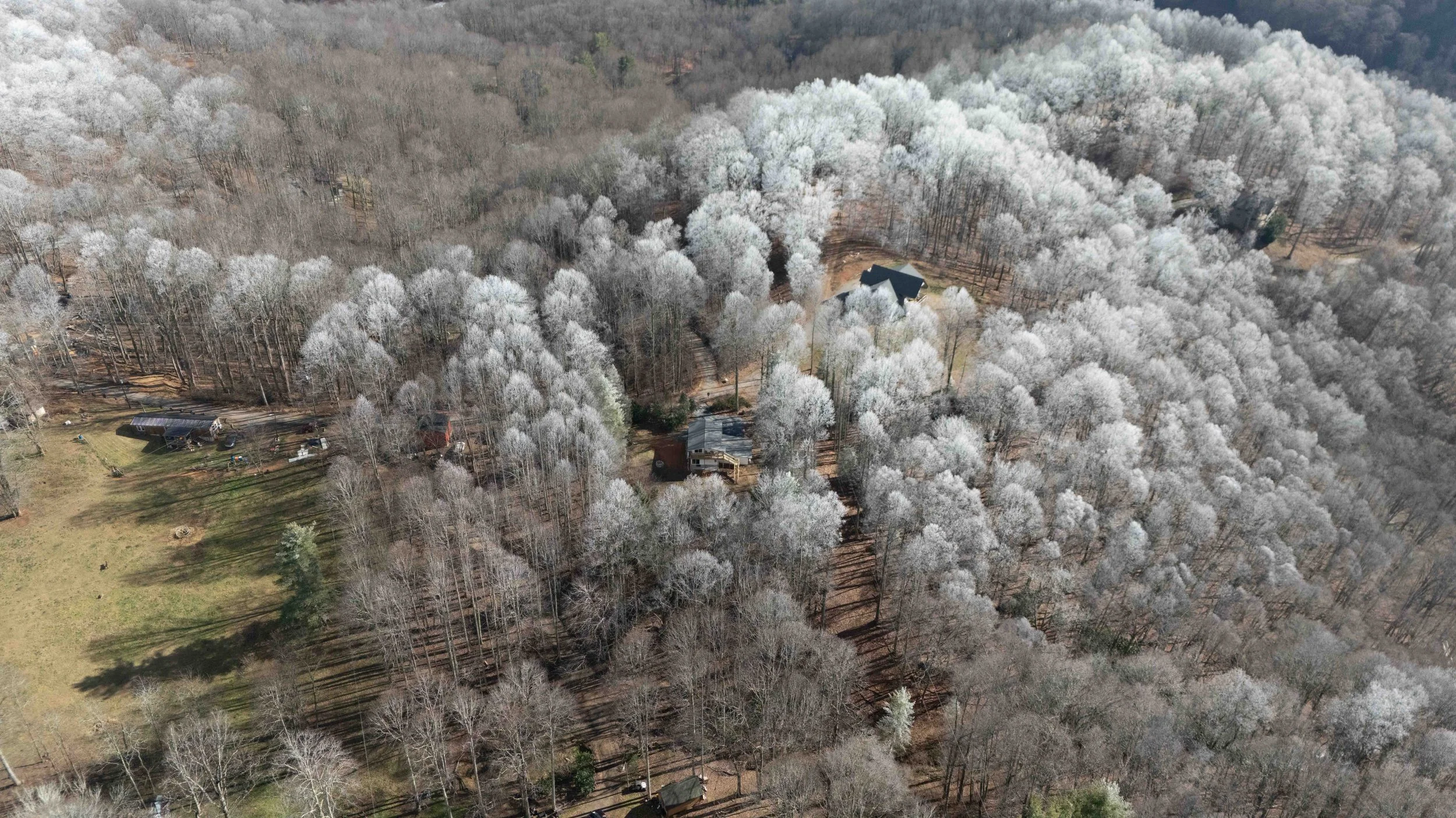 Aerial view of a wooded area during winter with leafless trees covered in snow, some houses and open grassy areas.