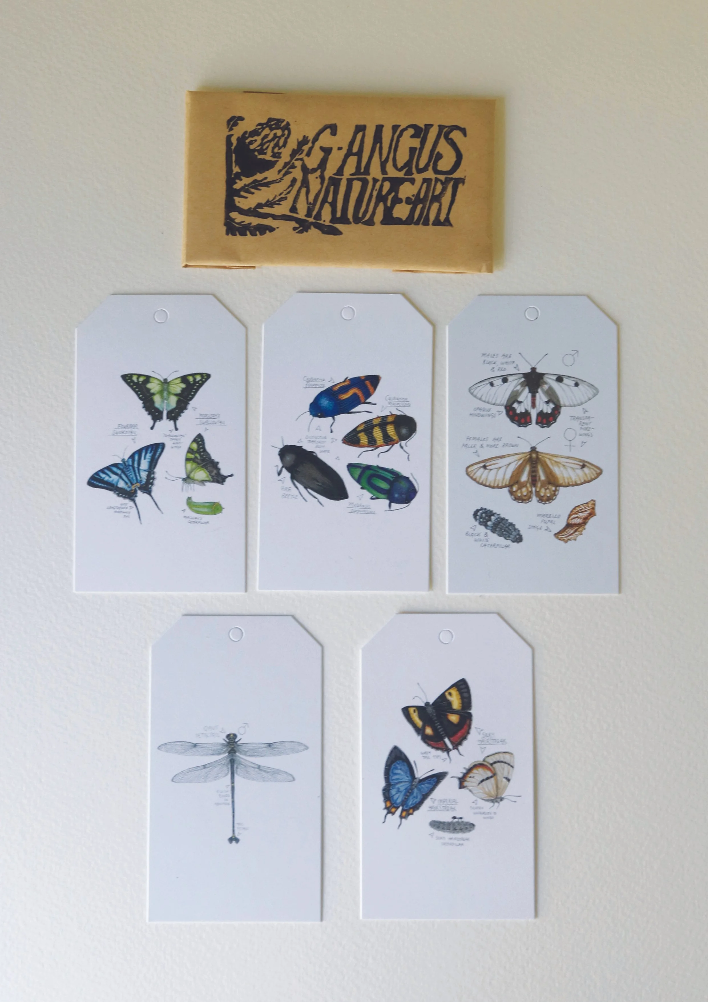 australian insects gift tags