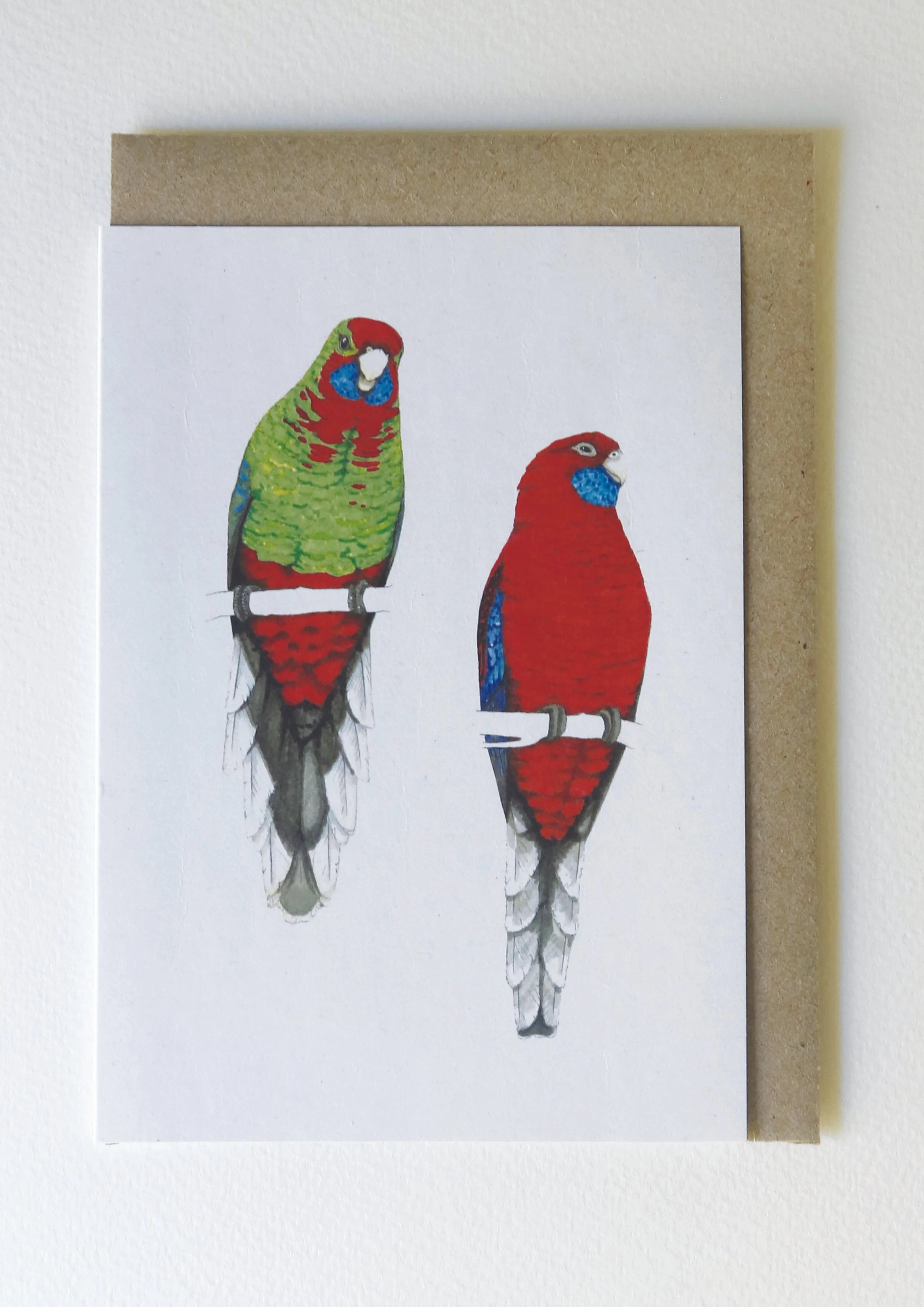 crimson rosella card