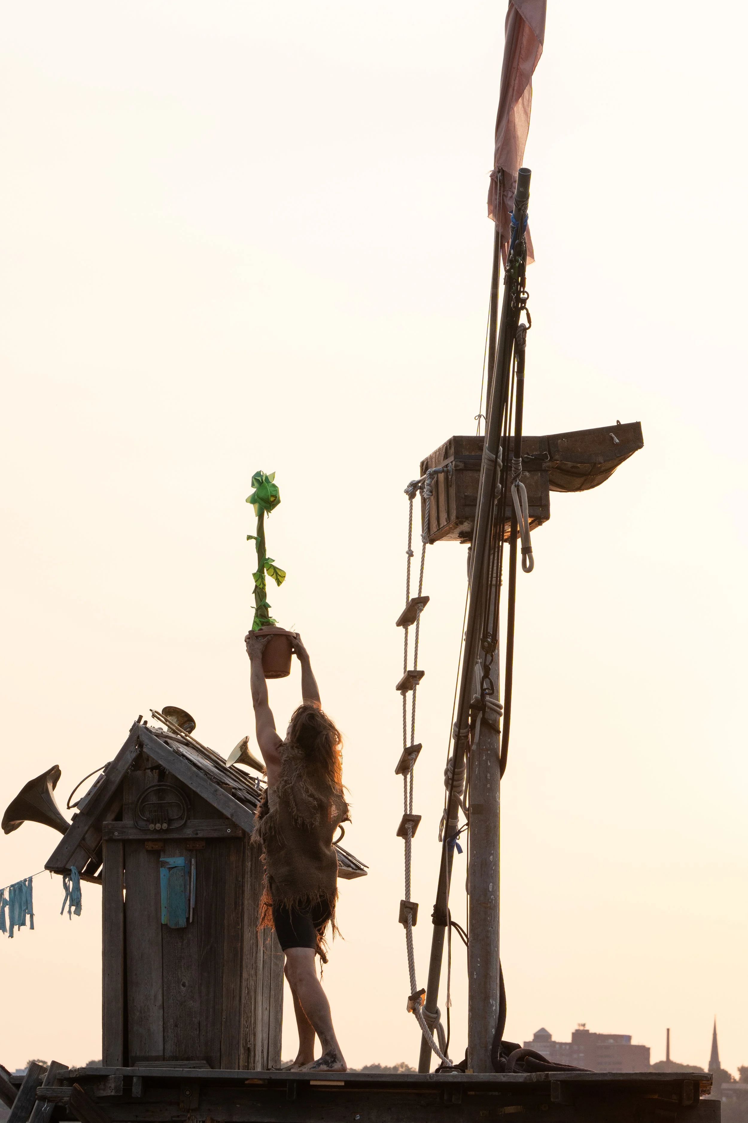 Person standing on a wooden platform holding a potted plant with green leaves, with a small wooden house and various rigging and antennas around, against a sunset sky.