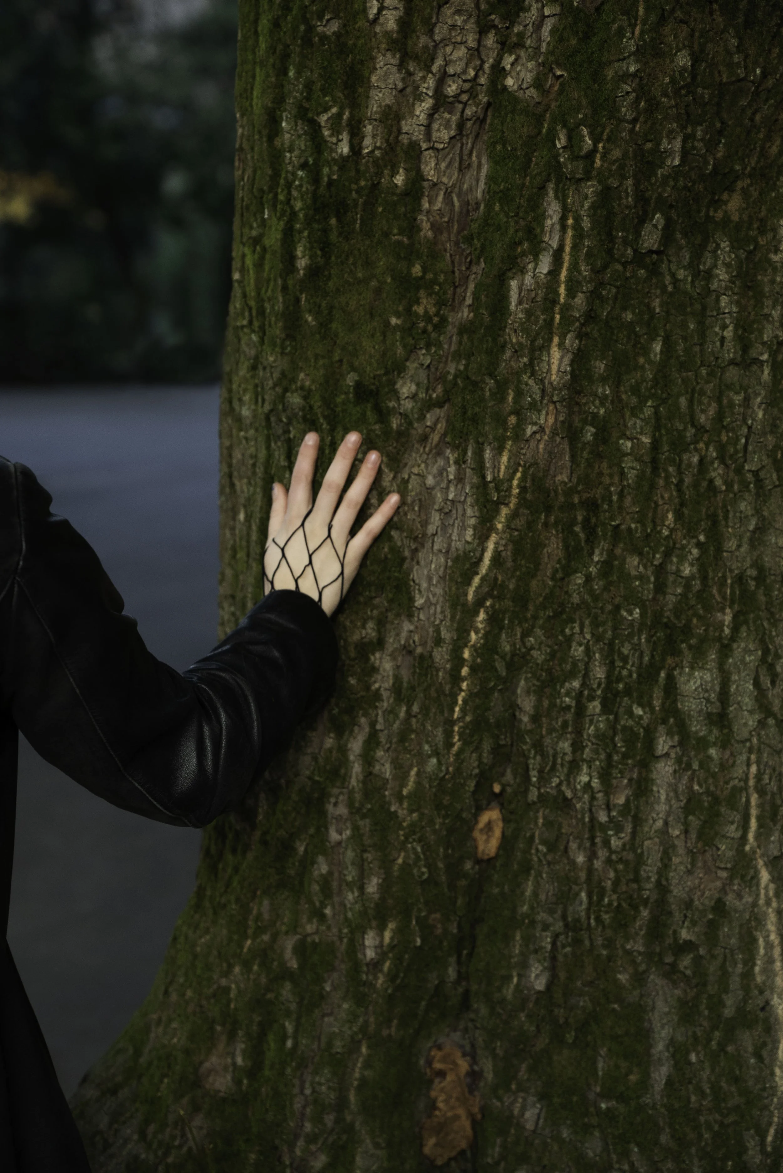 Person wearing a black leather jacket touching a large tree trunk with moss and bark in a forest.