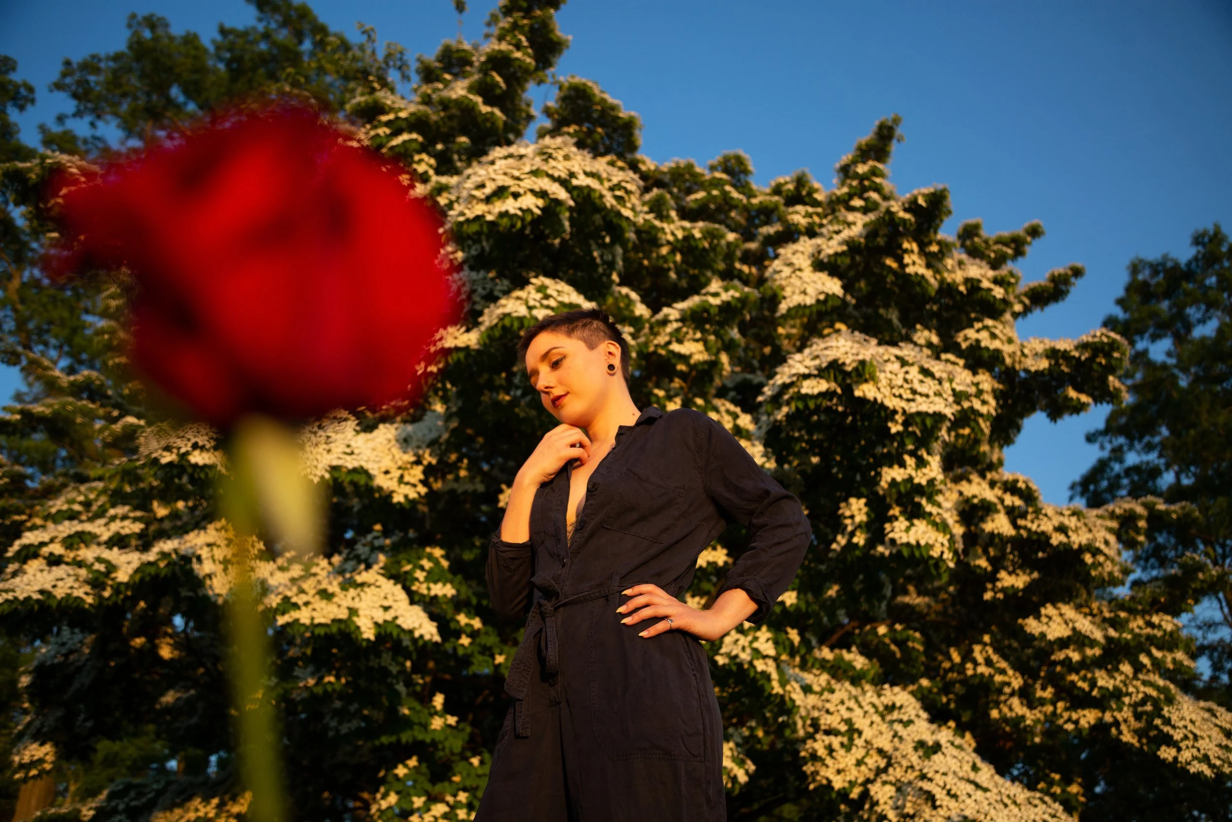 Young woman with short dark hair and gauges, wearing a black dress, standing outdoors at sunset, with a large flowering tree in the background and a red rose in the foreground.