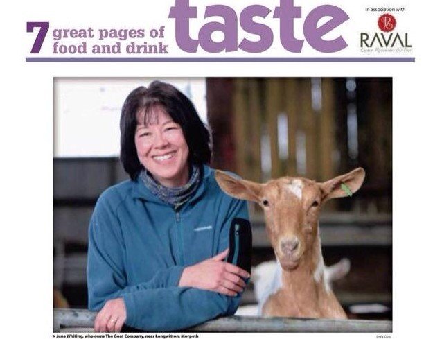 AboutUs-TasteMag.jpg