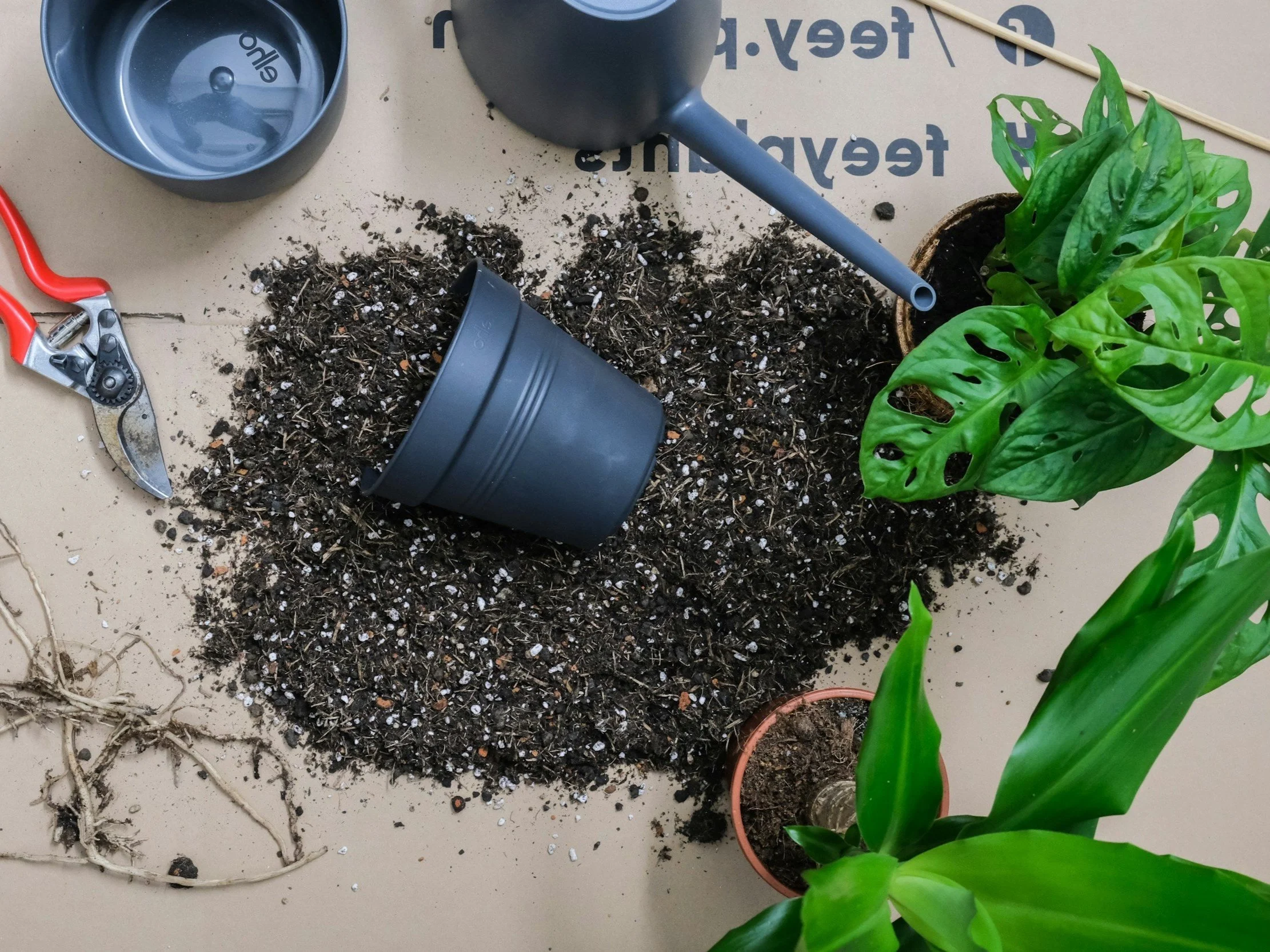 Plants and gardening tools on a table, including a potted green plant, a broken terracotta pot, a small watering can, soil spilled on the table, a pair of pruning shears, and a used plant pot.