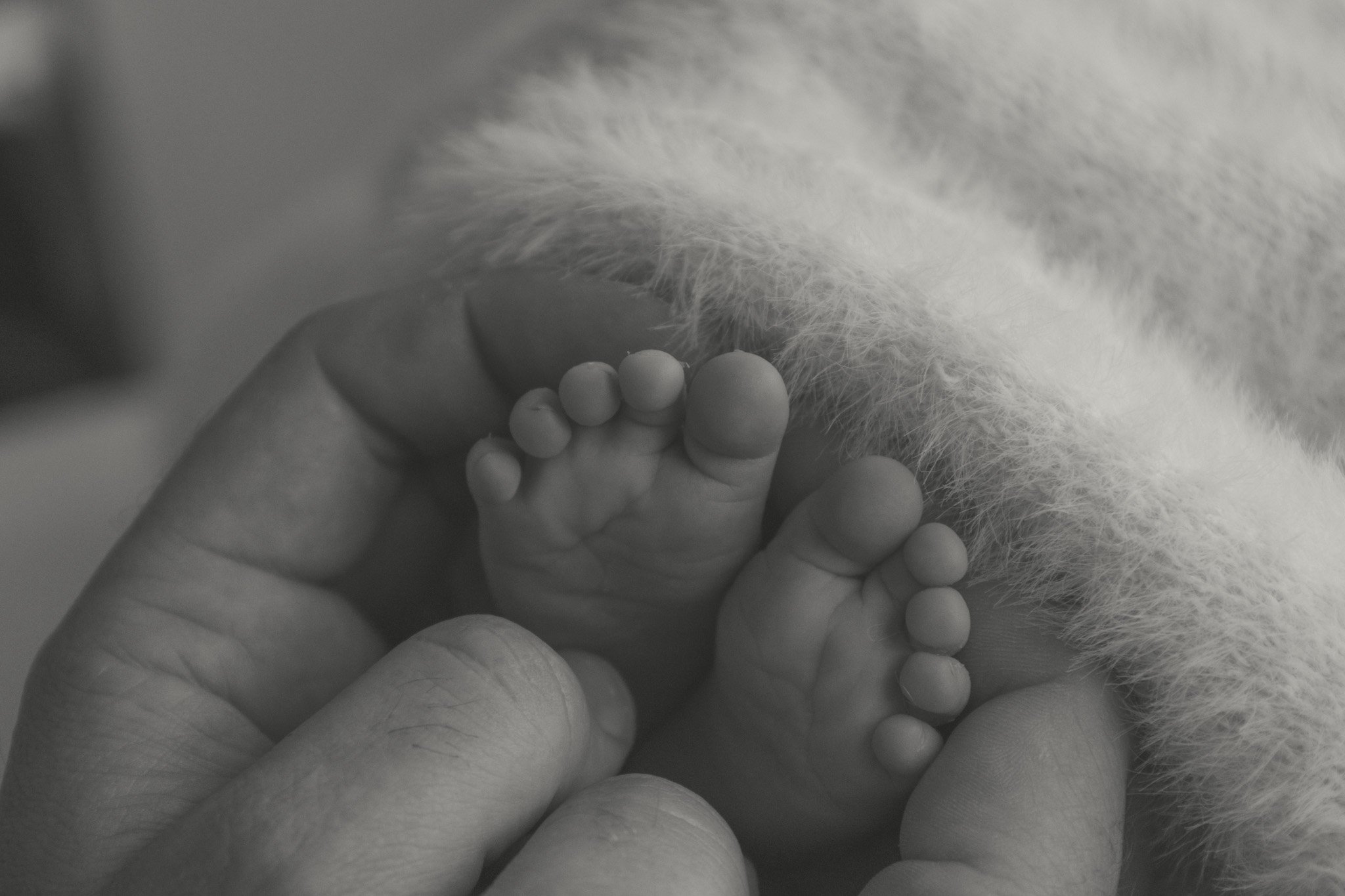 Baby Ronan-1882-2.jpg