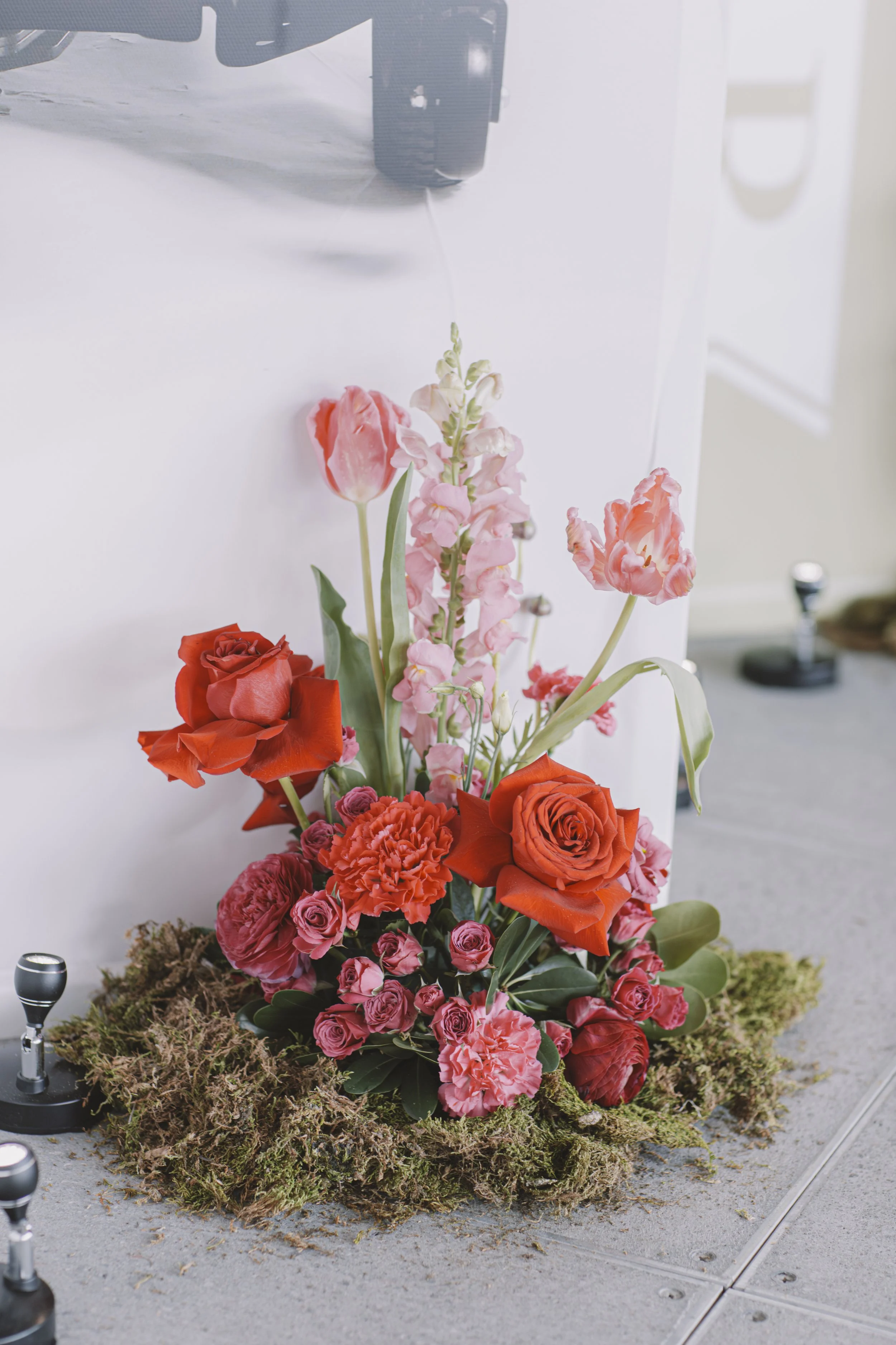 TS Influencer 011.jpg