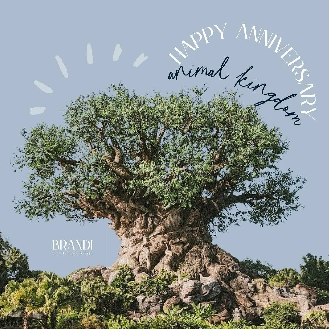 Happy Birthday Animal Kingdom! I&rsquo;m coming to visit you soon, but in the meantime I&rsquo;m going to give my friends my favorite Animal Kingdom tip!

If you eat at Flame Tree BBQ, be sure to walk allllllll the way to the bottom of the walkway! T