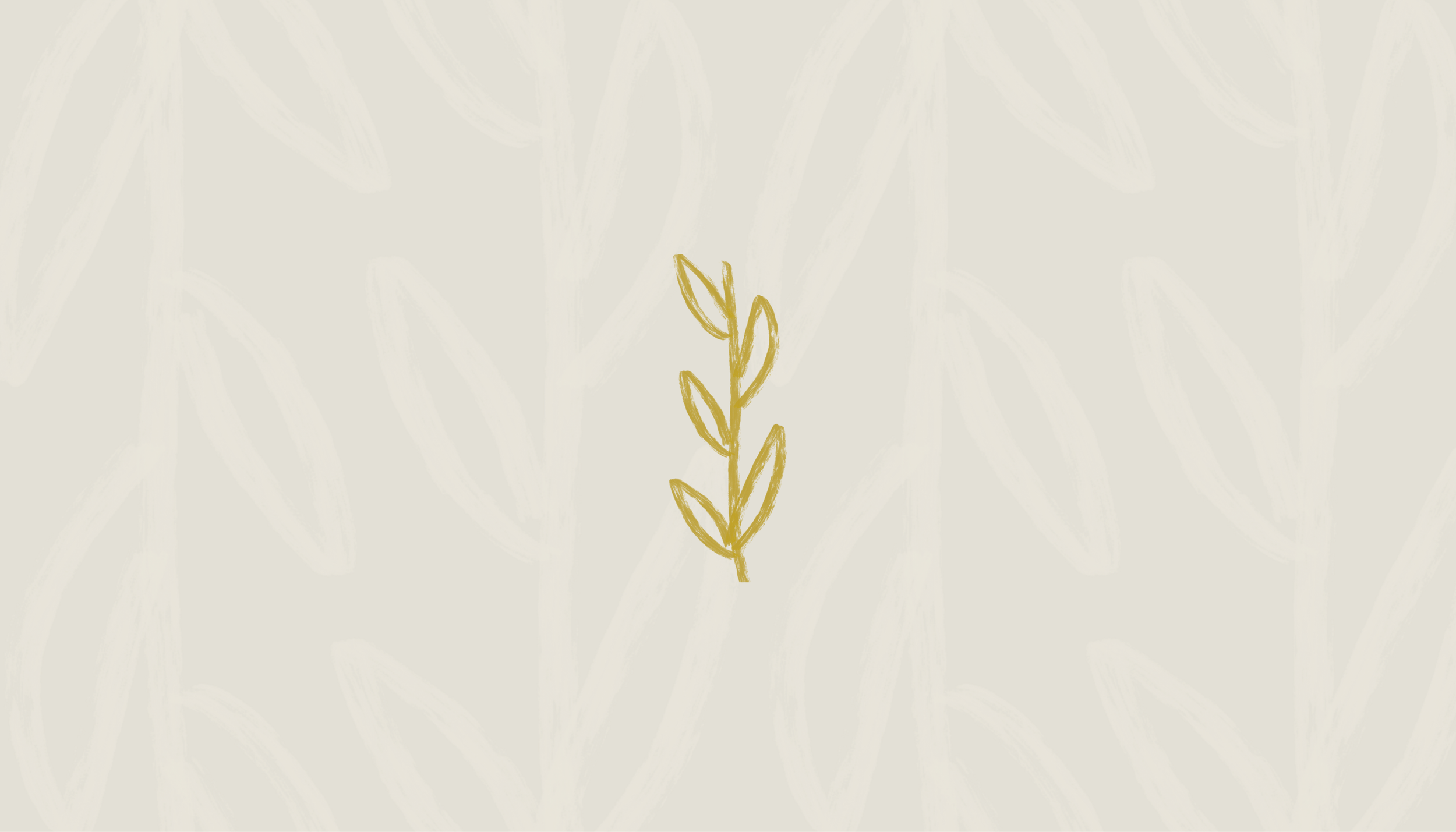 Island Conditioning Brand Reveal (2).png