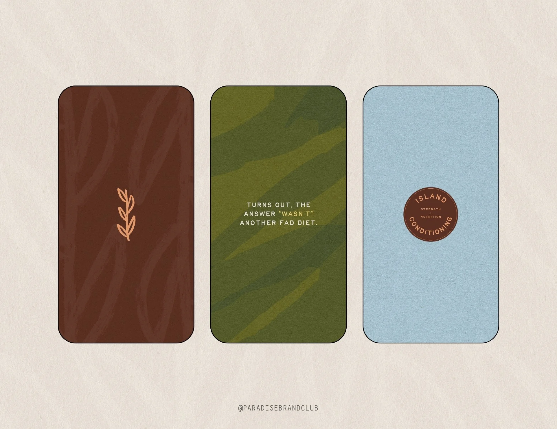 Island Conditioning Portfolio Paradise Brand Club.jpg