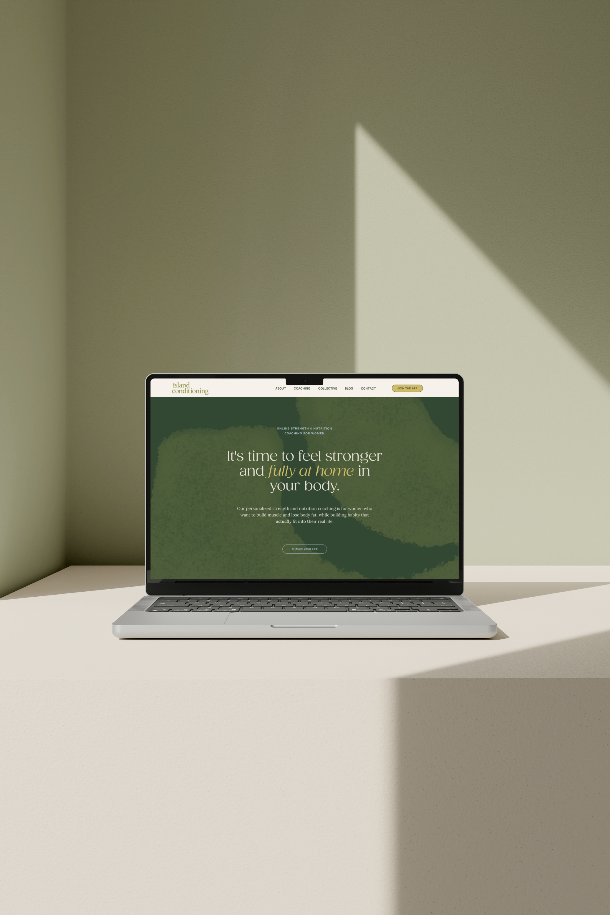 island conditioning website mockup.webp
