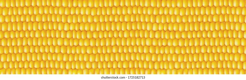 cornbanner.webp