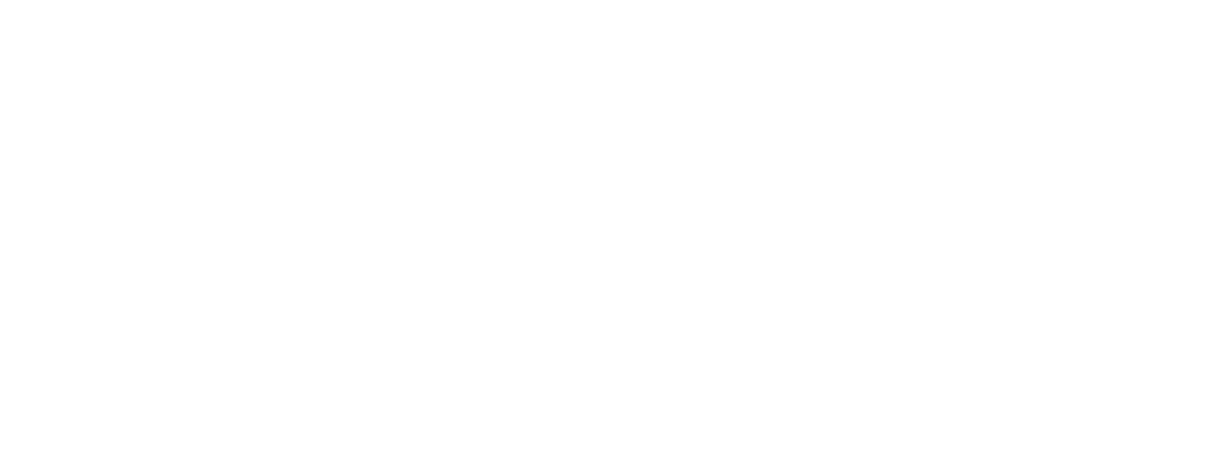 Kali Wordmark Wht Hi.png