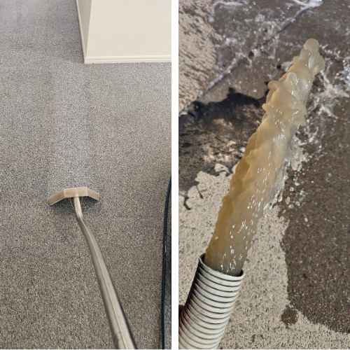 PSC - Professional Carpet Steam Clean and Waste Water Removal.png