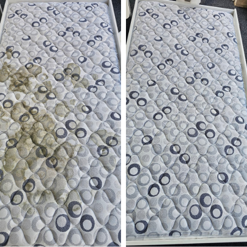 PSC - Mattress Steam Cleaning.png