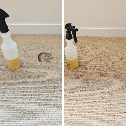 PSC - Professional Targeted Stain Removal.png
