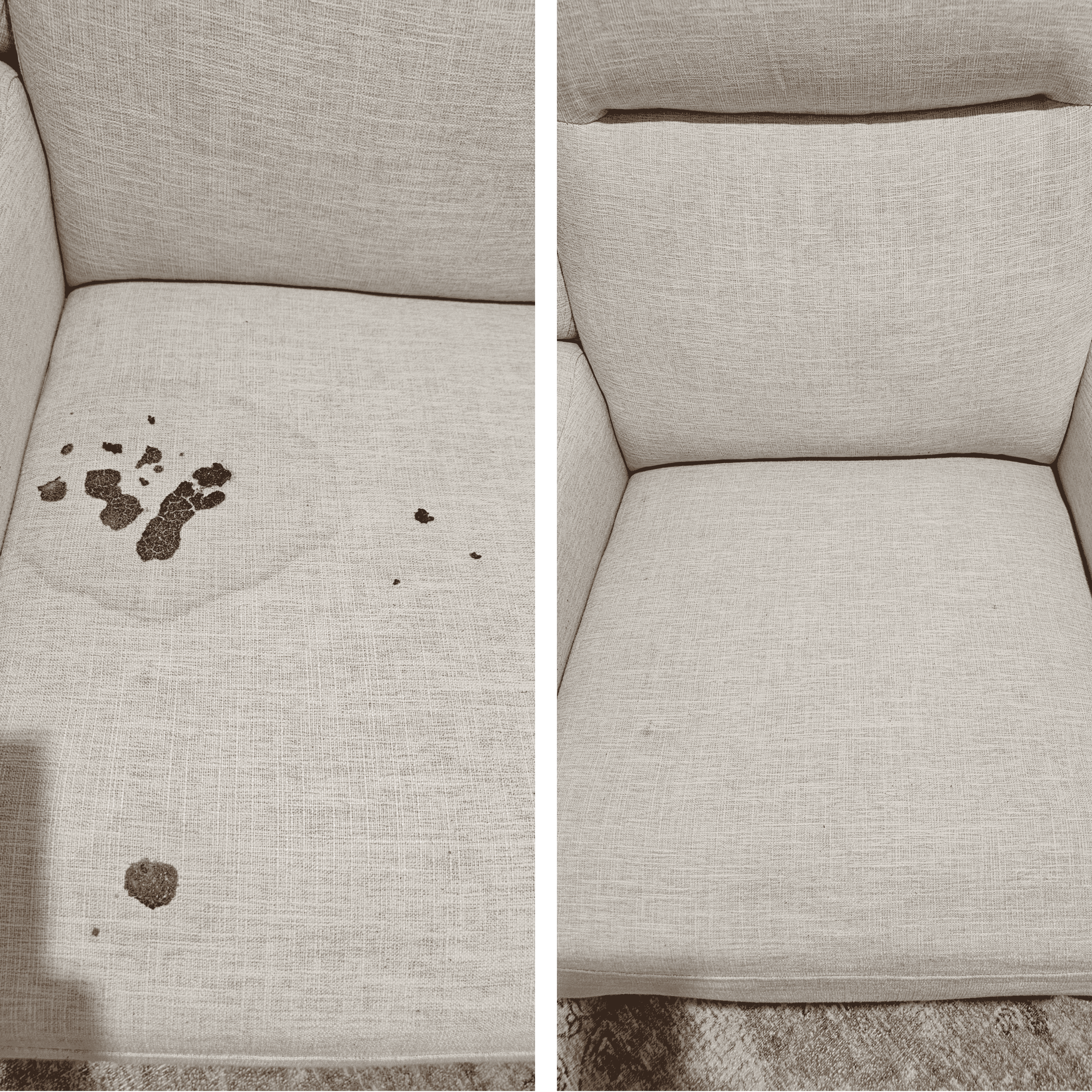 PSC - Upholsetery Clean.png