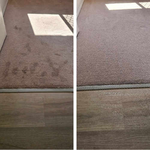 PSC - Carpet Steam Clean Before & After.png