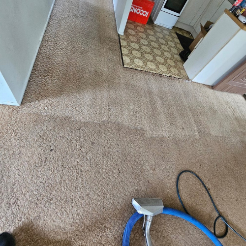 PSC - Professional Carpet Cleaning.png