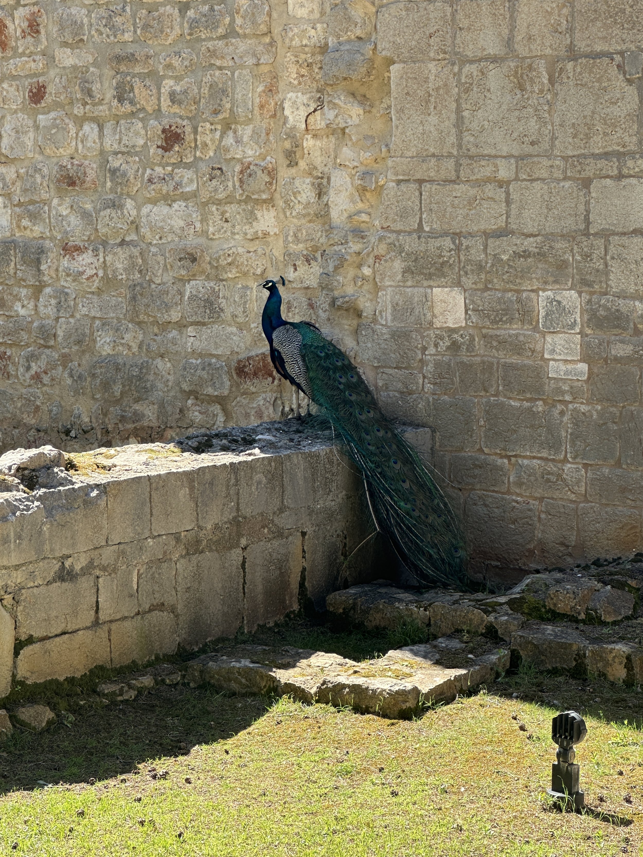 IMG_3373 2.JPG