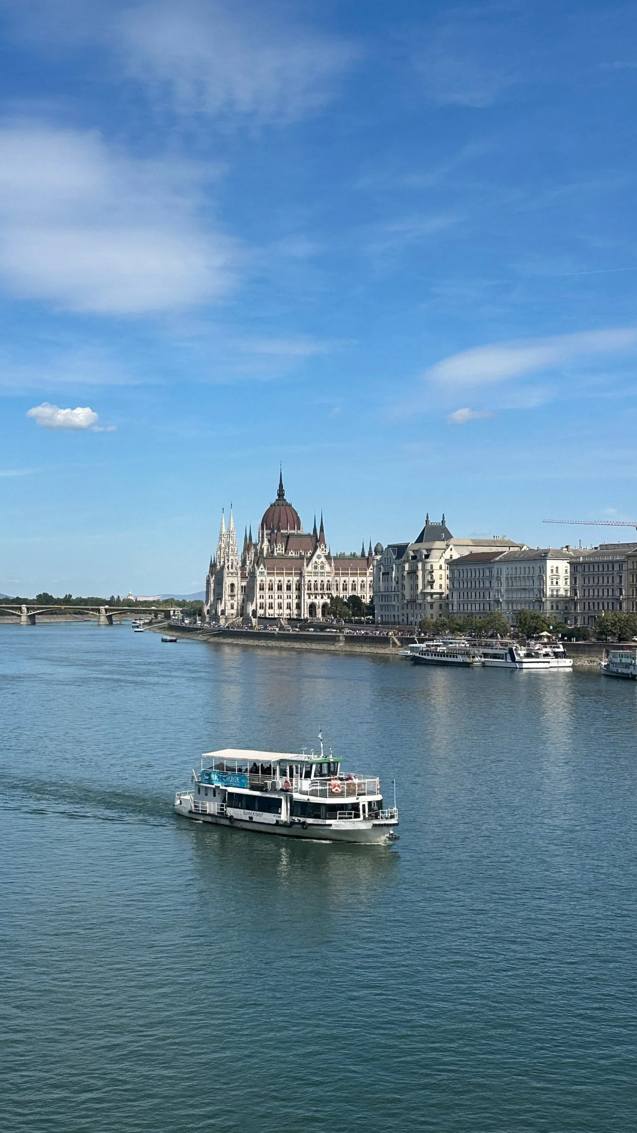 04119CF1-50D6-4A4B-BE2E-E4CD57A3C58C.JPG