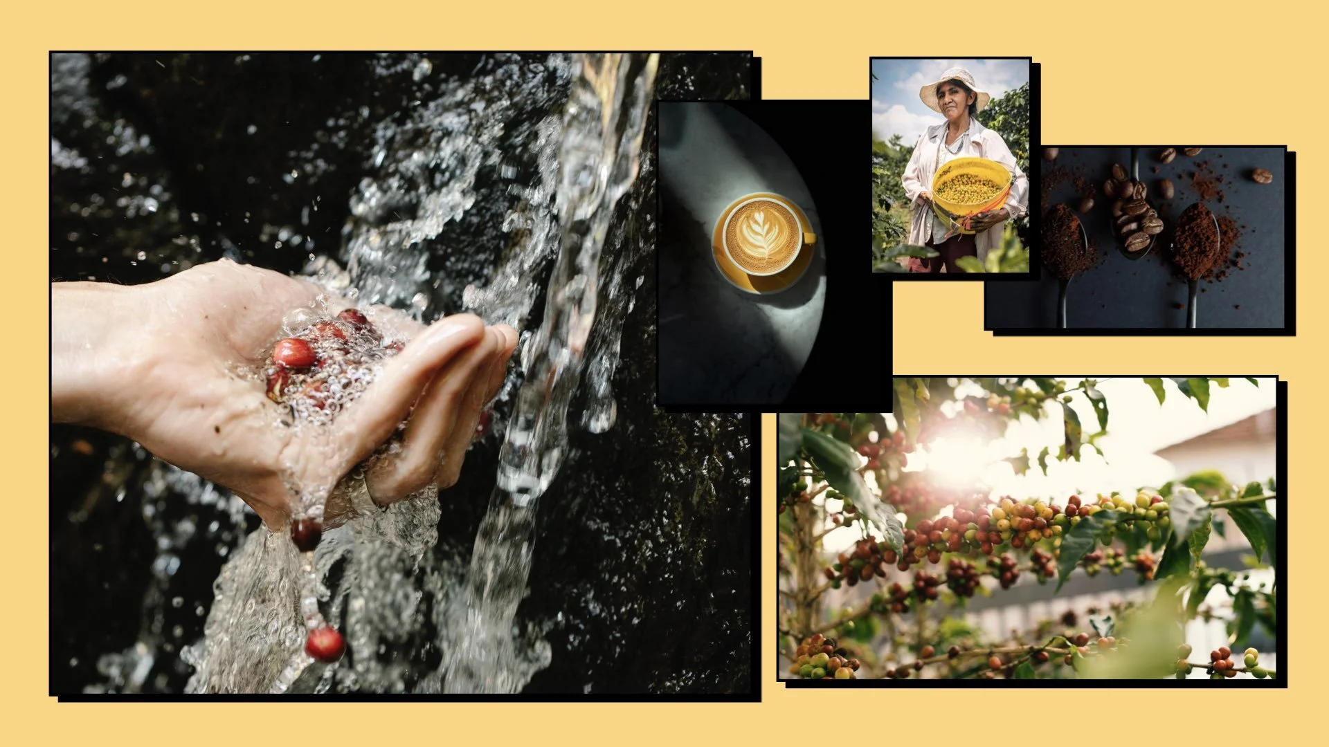 ‎‎Directors Treatment Template - Arabica.‎006.jpeg