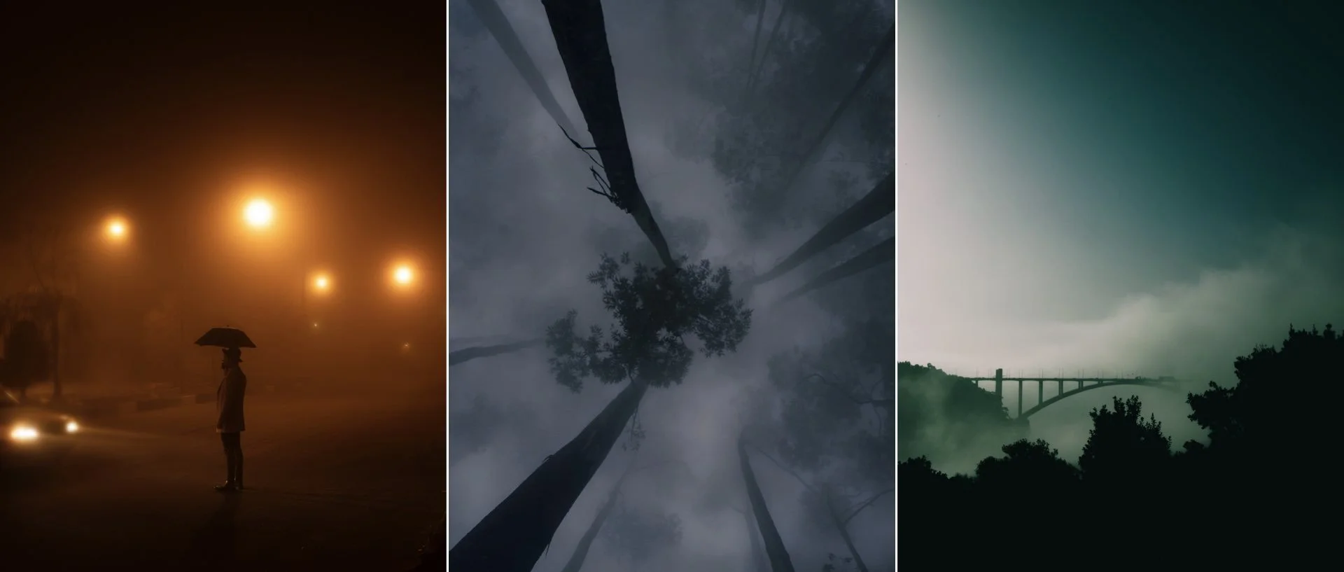 Shadows of Silence.013.jpeg