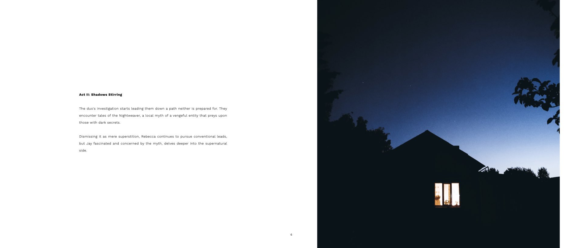 Shadows of Silence.006.jpeg