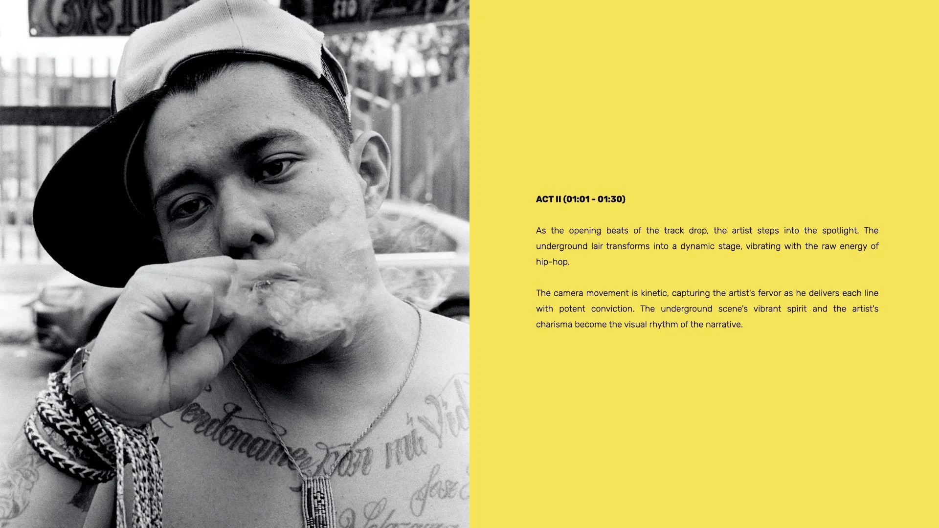 Music Video Treatment Template - Lemons.008.jpeg