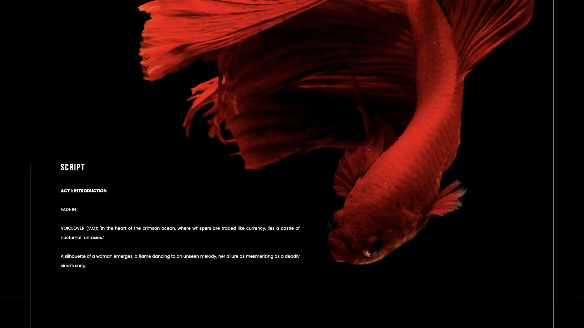 Red Velvet .006.jpeg