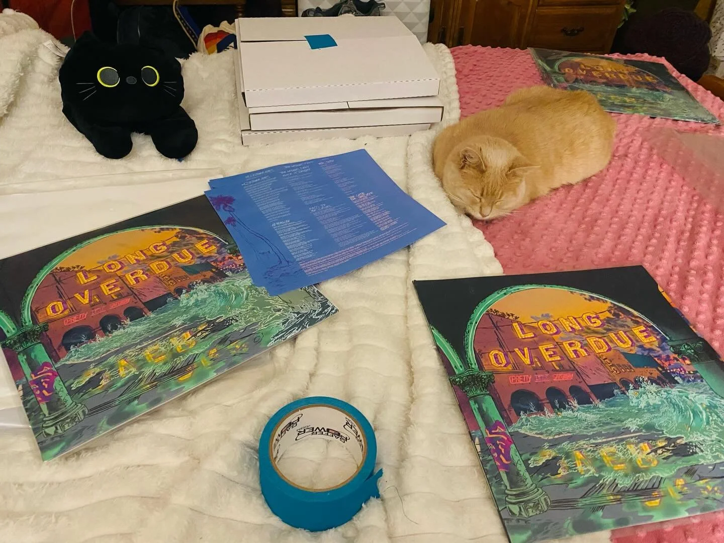 Packing up records with my new partner in crime. 🤘🎶🐈#longoverdue #prettylittlesaturday #supportlocalmusic #indiepop #newmusic