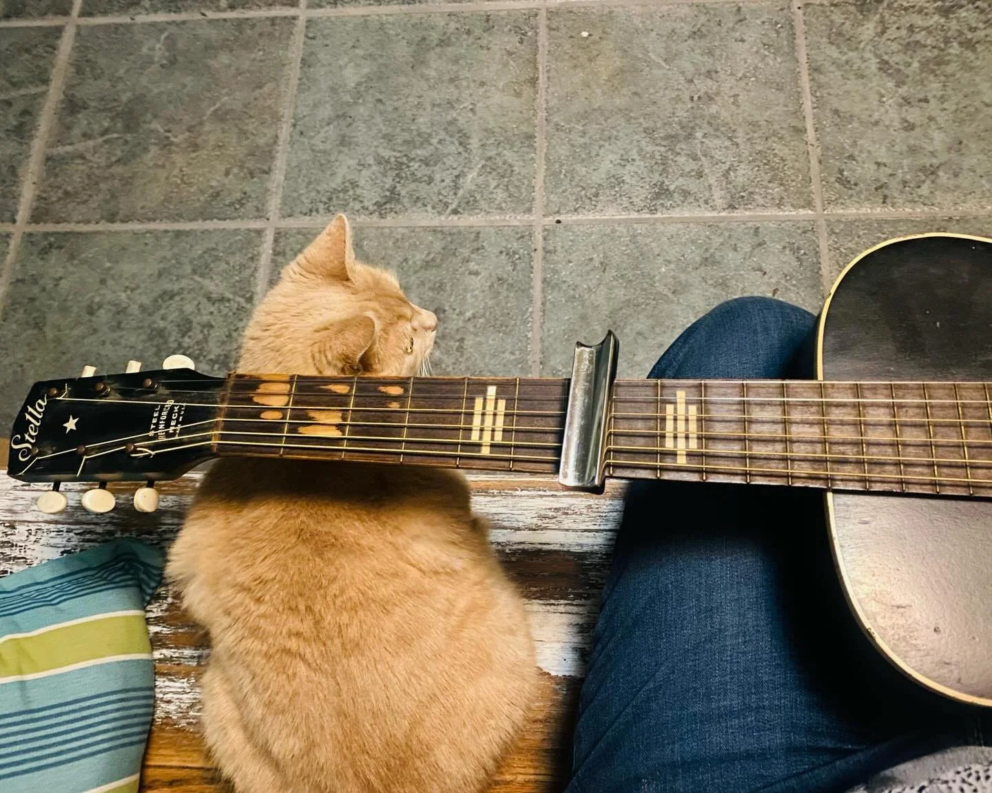 Evening slide practice vibes :) #stellaguitar #slideguitar #independentmusician #practicepractice #prettylittlesaturday