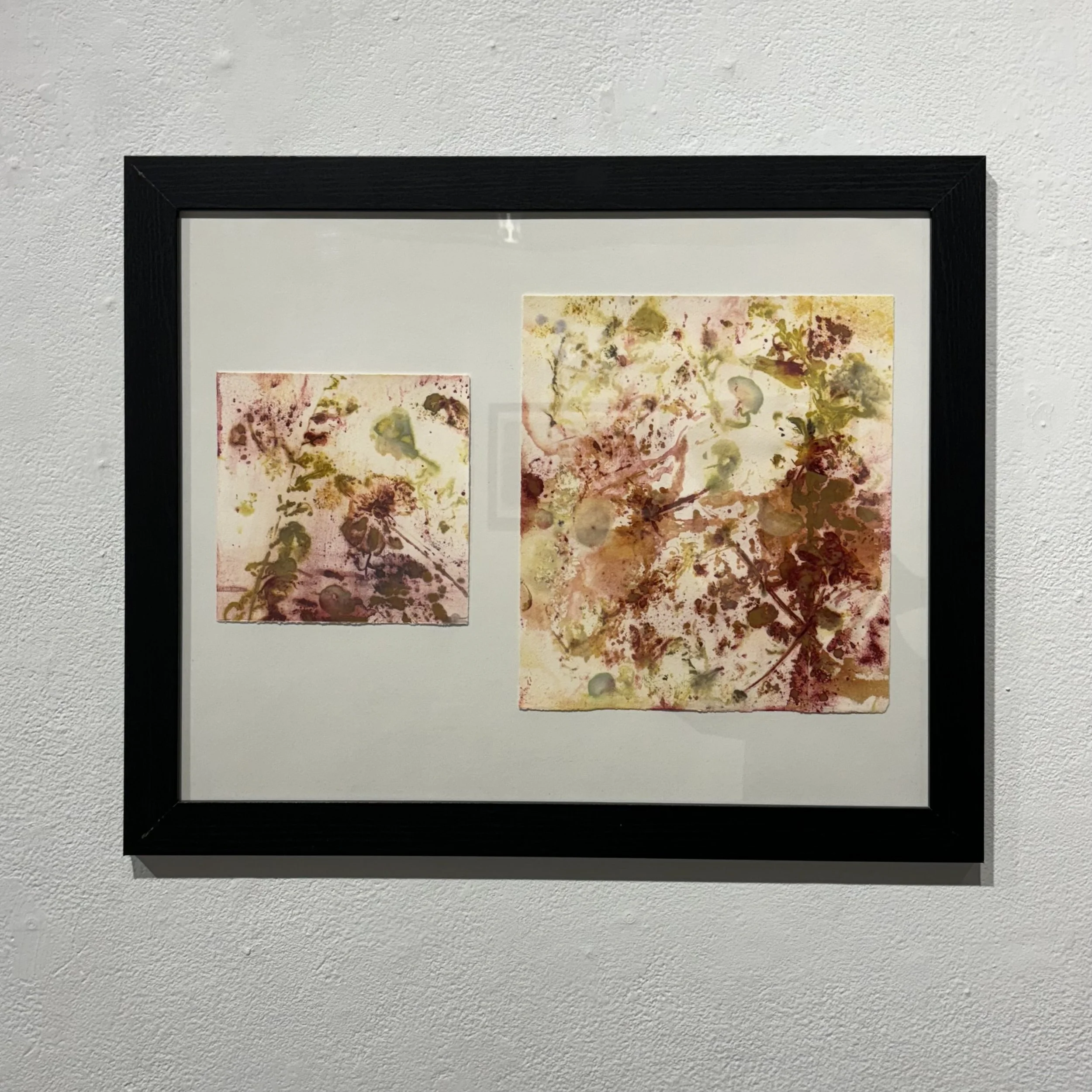 Eco-printing Study (2-3) | 2024 | organic material and natural dye on paper