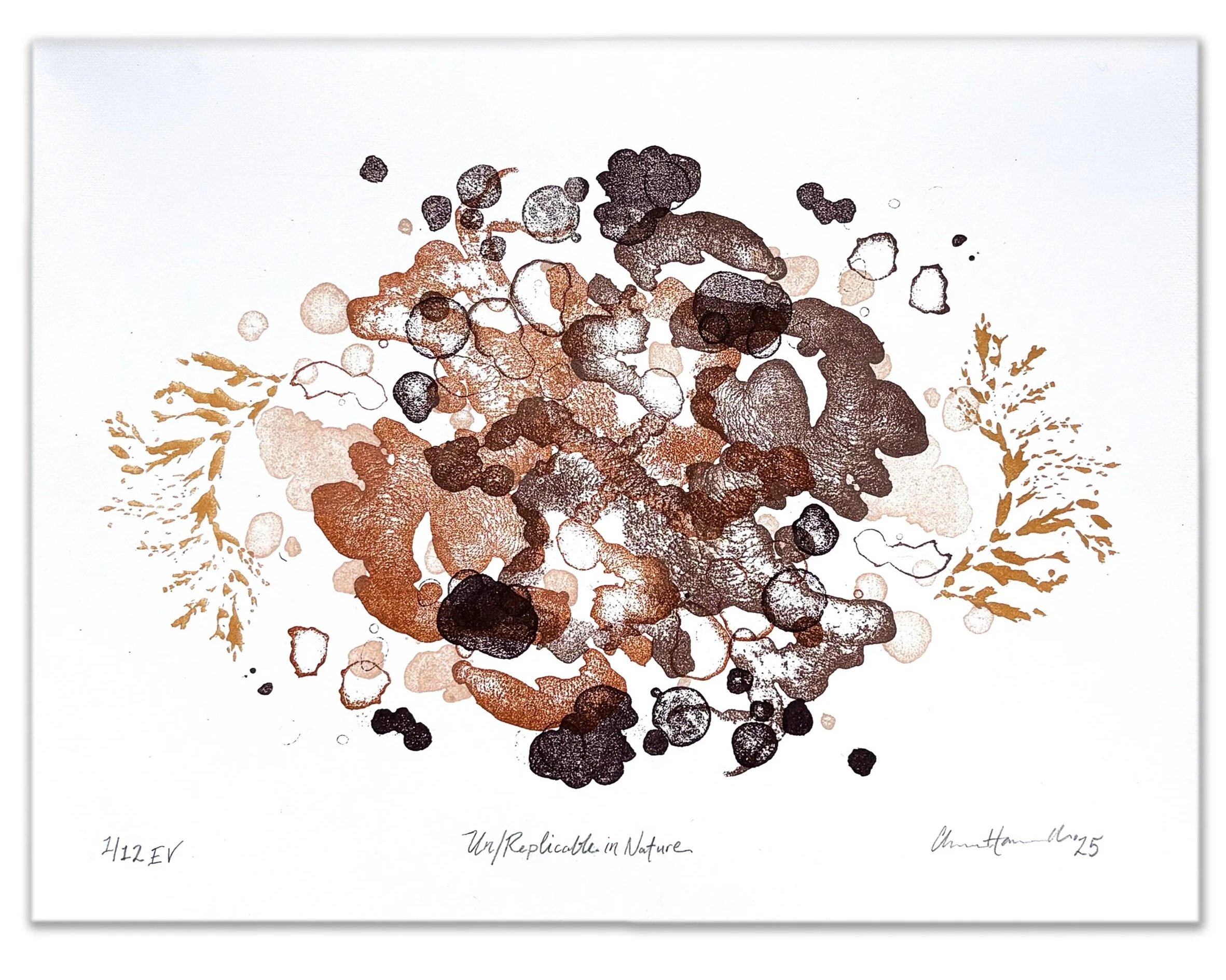 Un/Replicable in Nature | 2025 | stone lithograph on paper | 8.5 x 11 in. | variable edition of 12