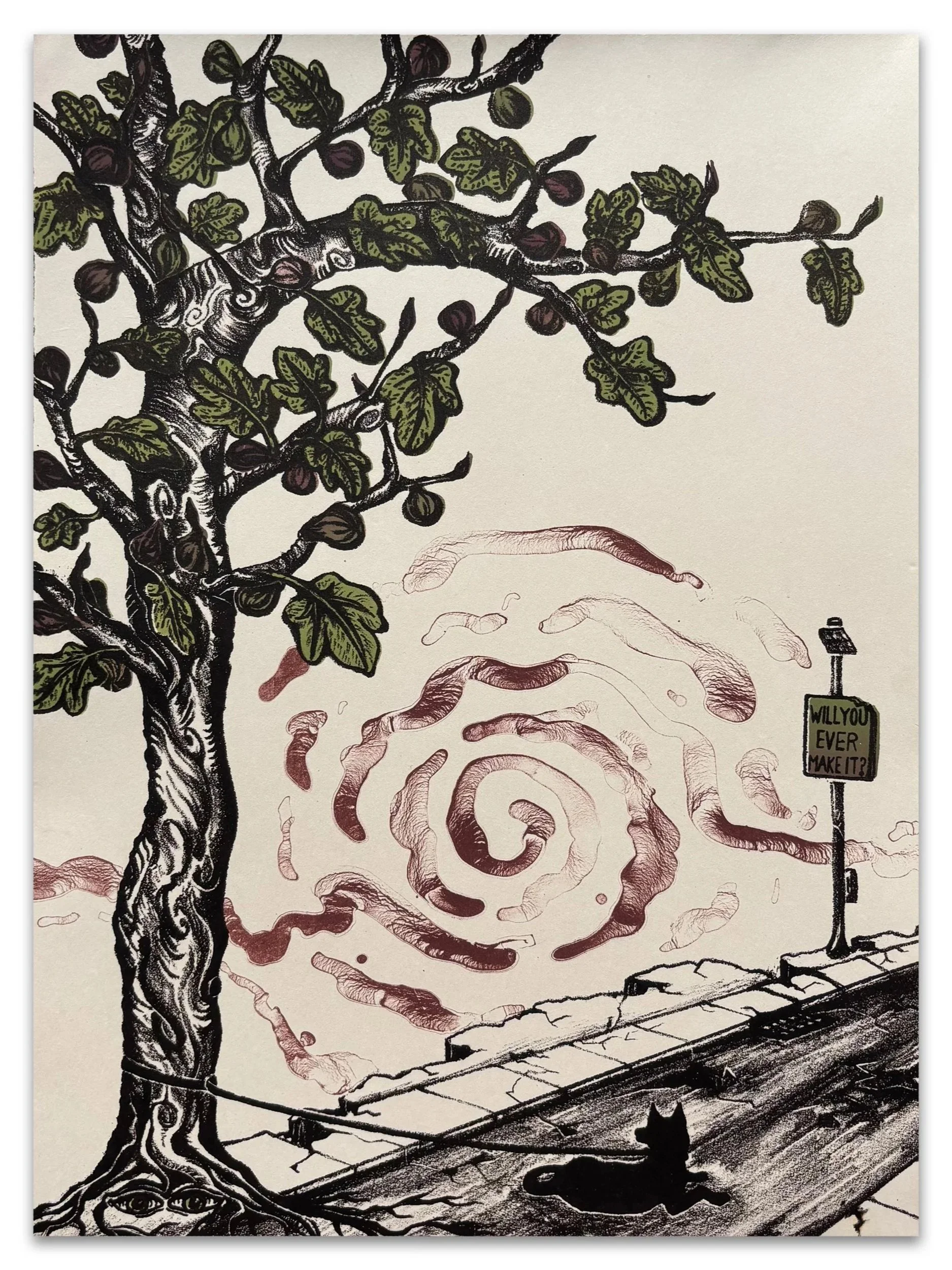 Precipice | 2025 | lithography on paper | 11 x 14 in. | variable edition of 20