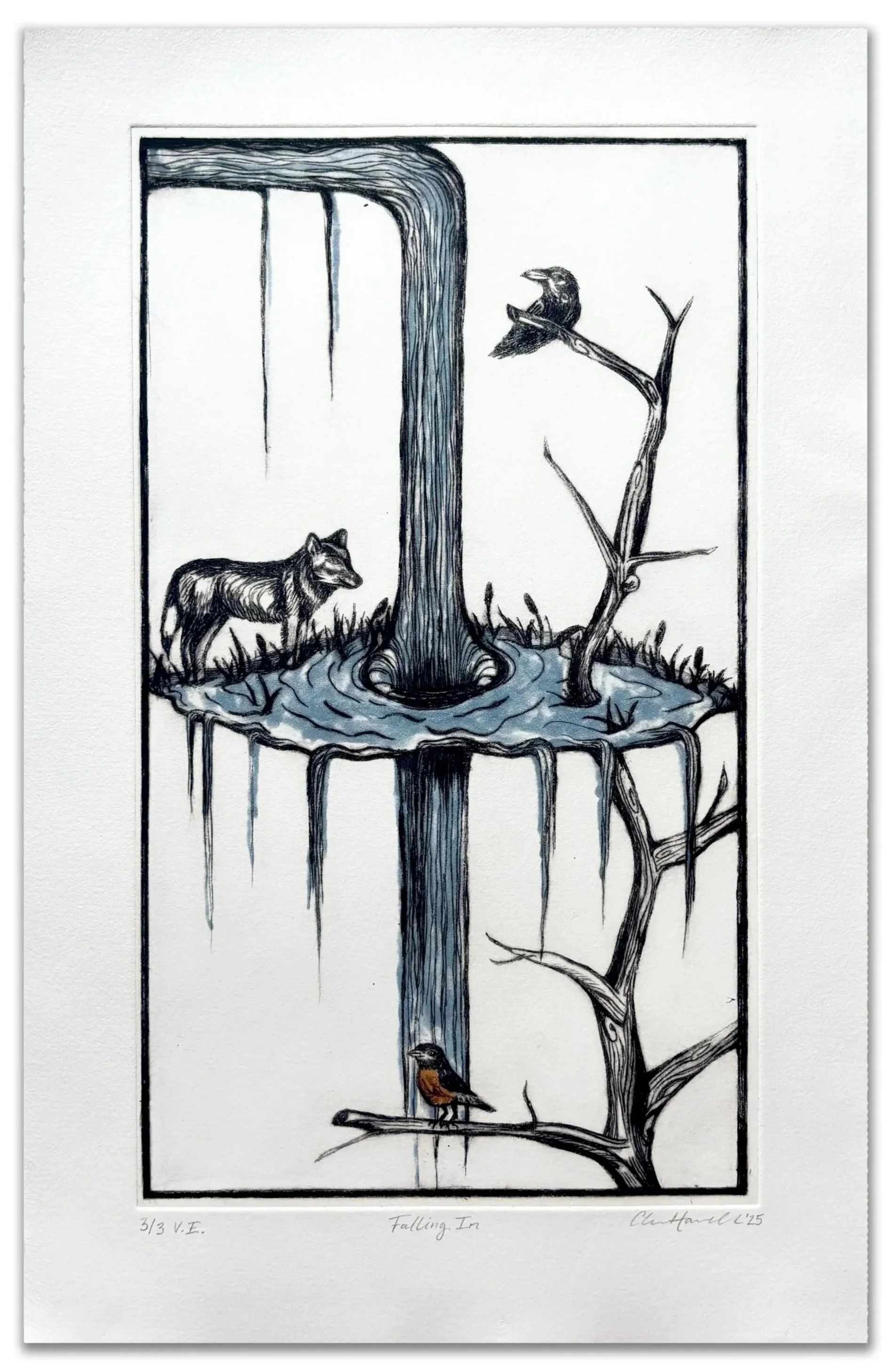 Falling In | 2025 | drypoint and watercolor monotype | 9.5 x 14.5 in. | variable edition of 3
