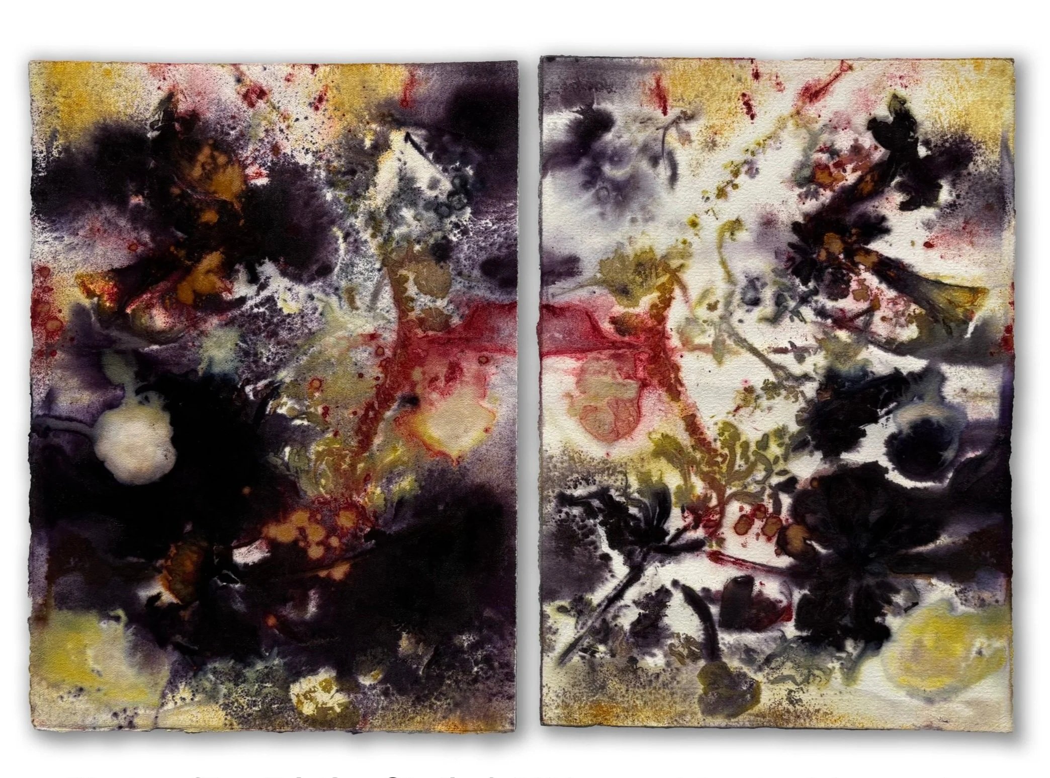 Campus Planters (diptych) | 2024 | eco-print and natural dye powders on paper | 16 x 20 in. (framed)