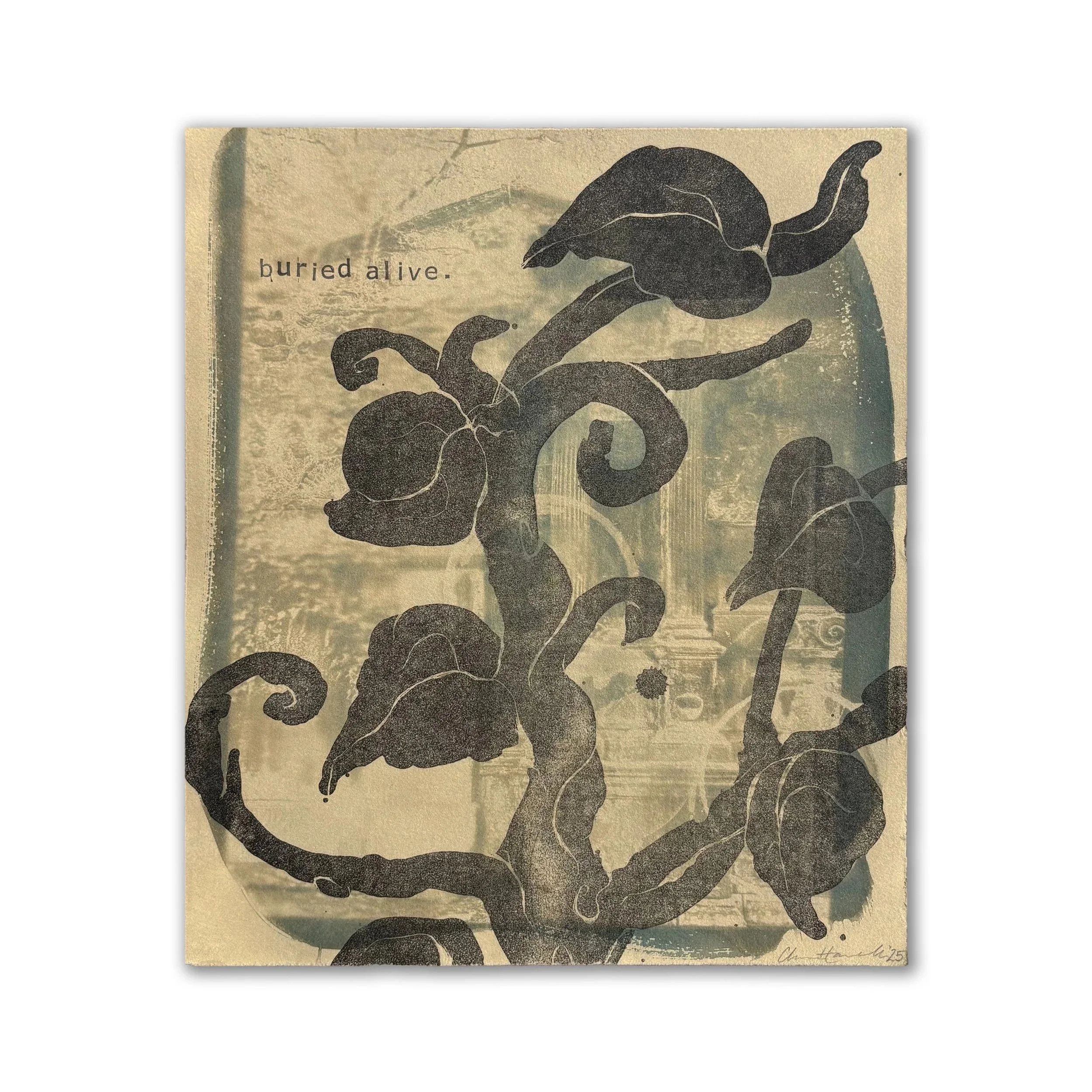 Buried Alive | lithography and relief on toned cyanotype | dimension unknown