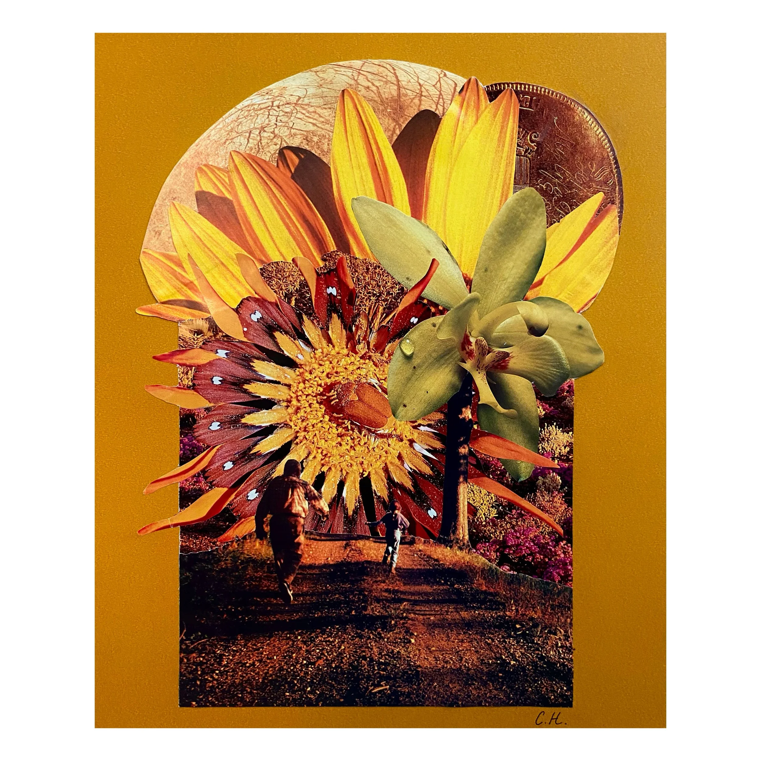 Chasing the Sun | 2023