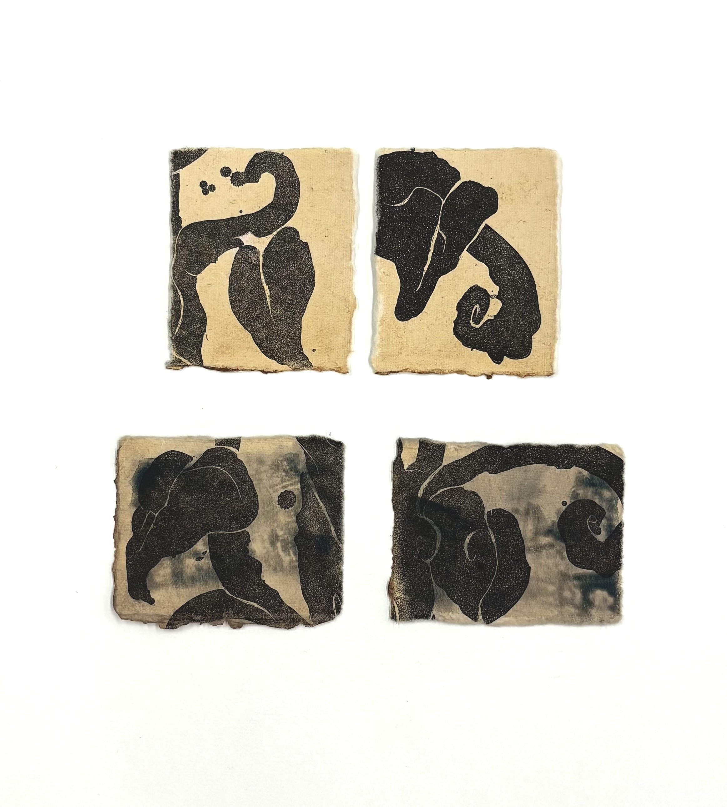 Untitled Studies | lithography on rag paper (top) and toned cyanotype rag paper (bottom) | variable dimensions