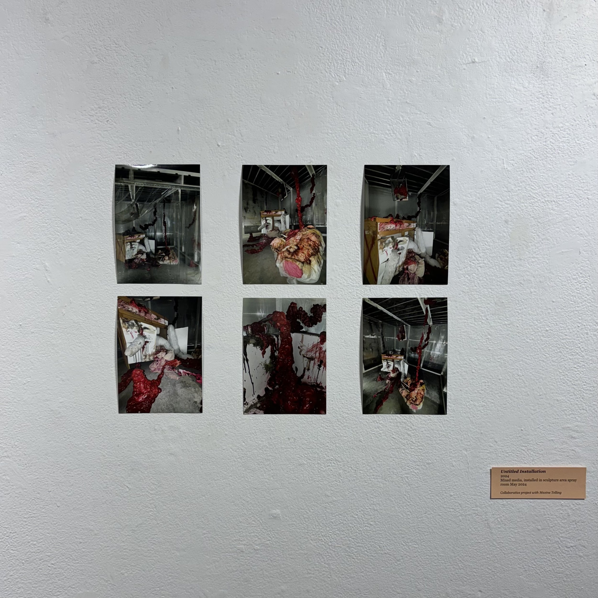 Untitled Installation | 2024 | mixed media, installed in sculpture area spray room (May 2024) | collaborative project with Maxine Telling
