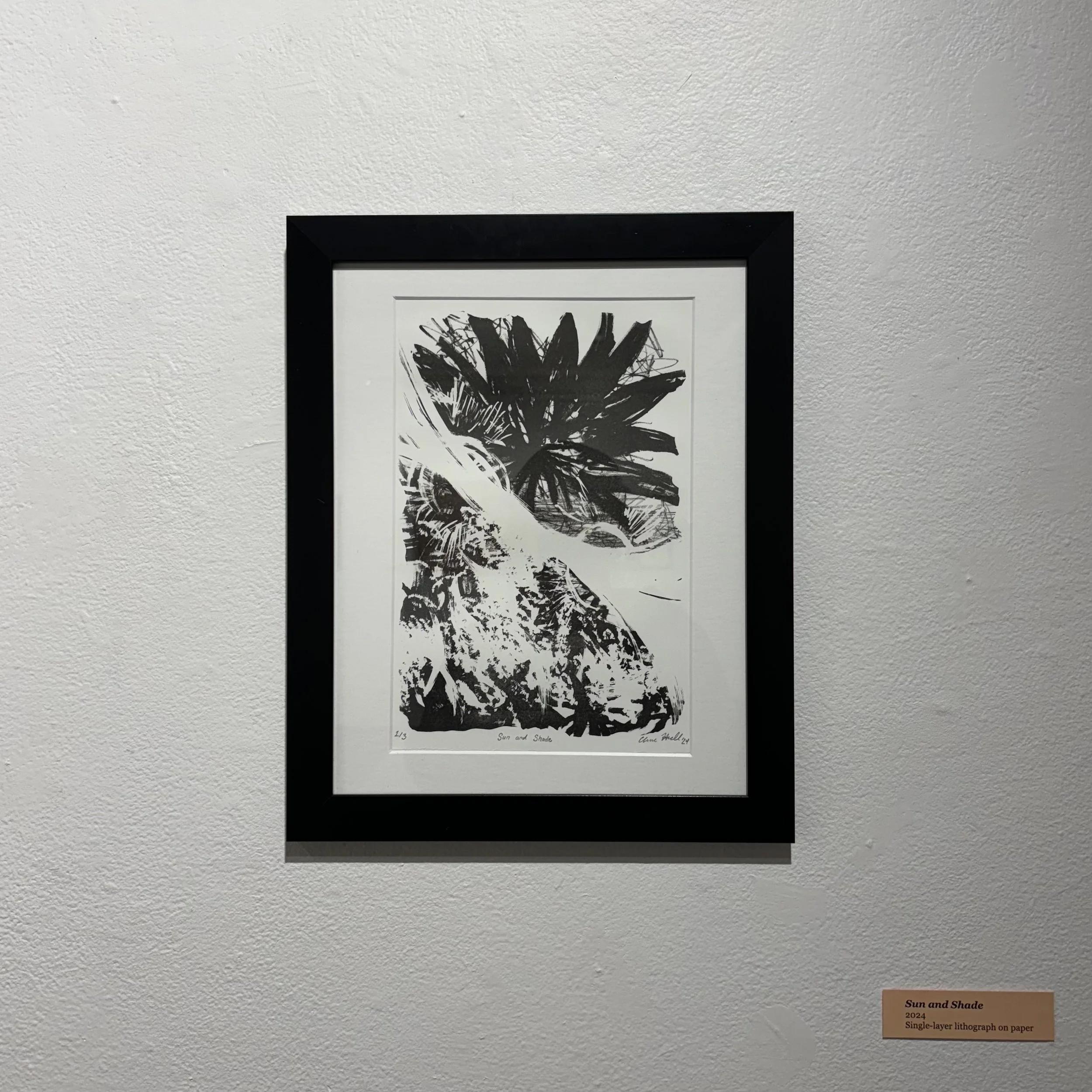 Sun and Shade | 2024 | stone lithograph