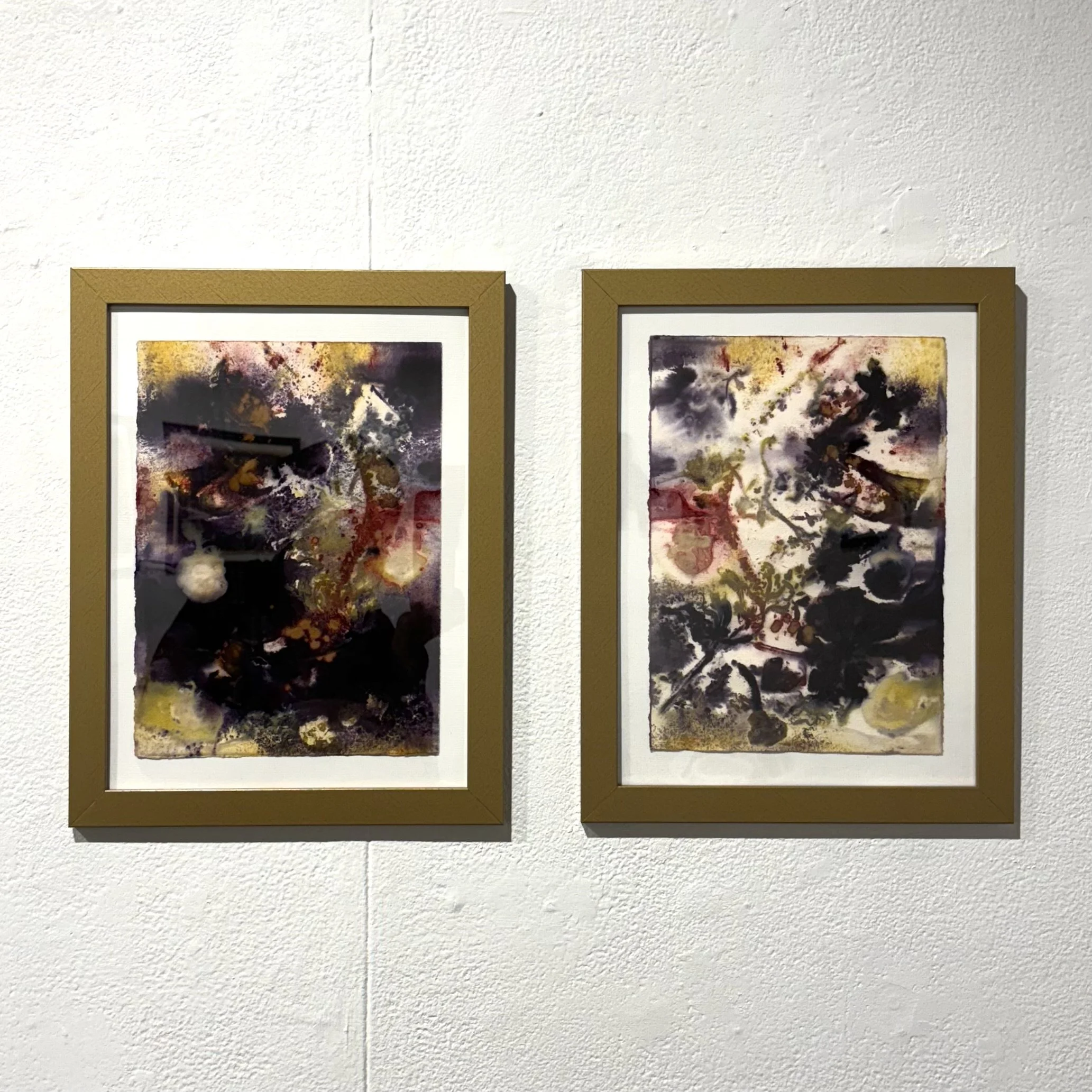 Campus-Planters (diptych) | 2024 | organic material and natural dye on paper