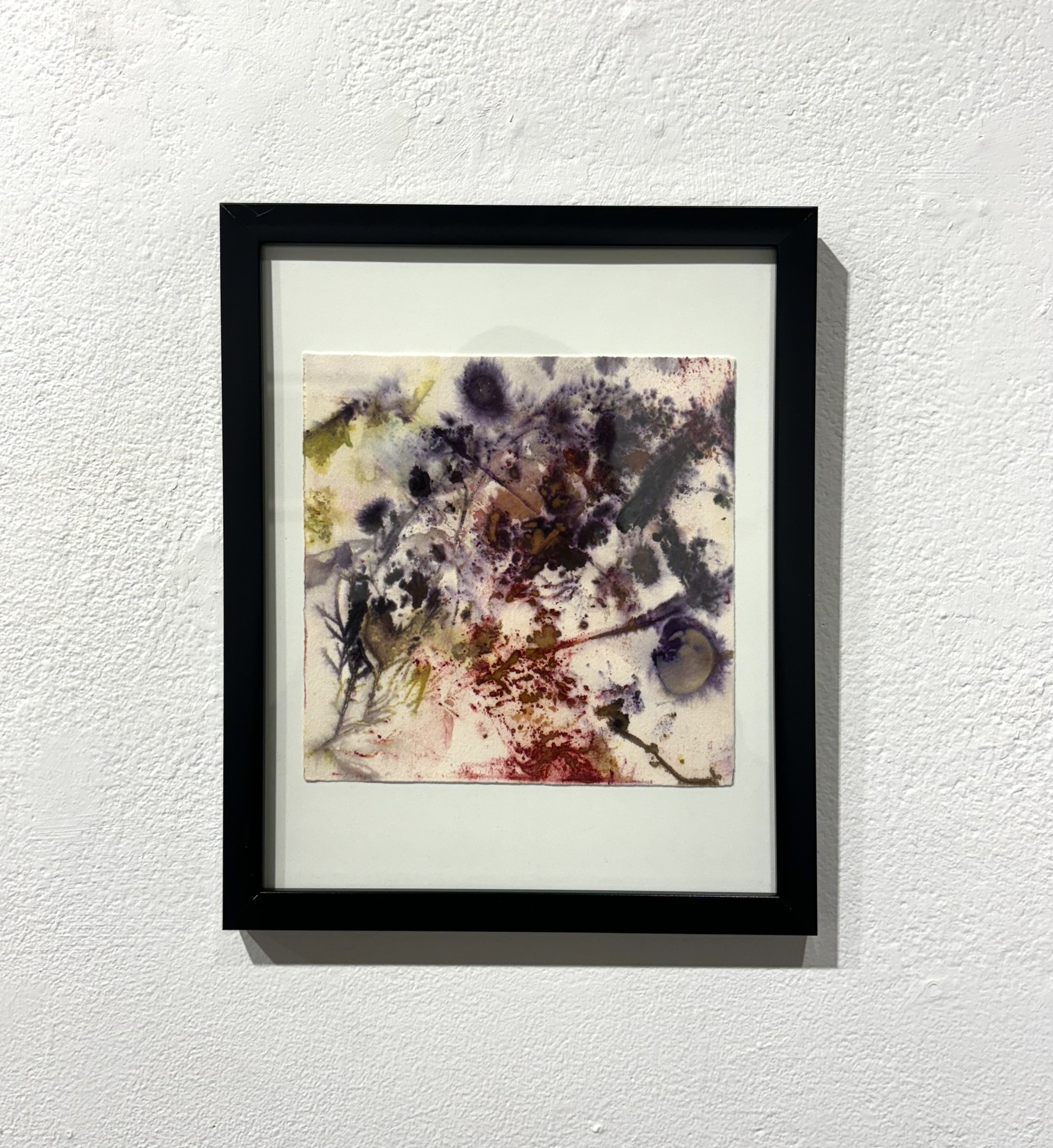 Eco-printing Study (1) | 2024 | organic material and natural dye on paper